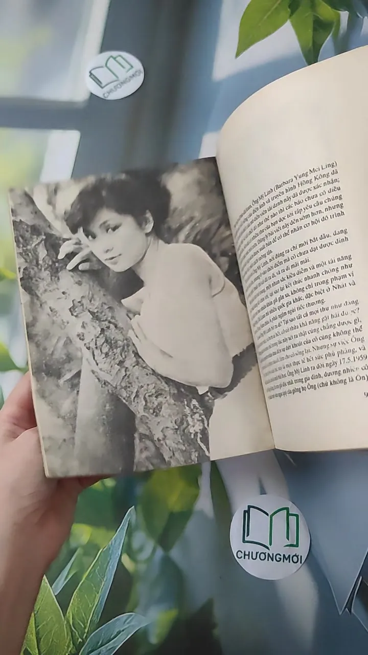 [XƯA] Những Khuôn Mặt Trẻ (1990) 997822