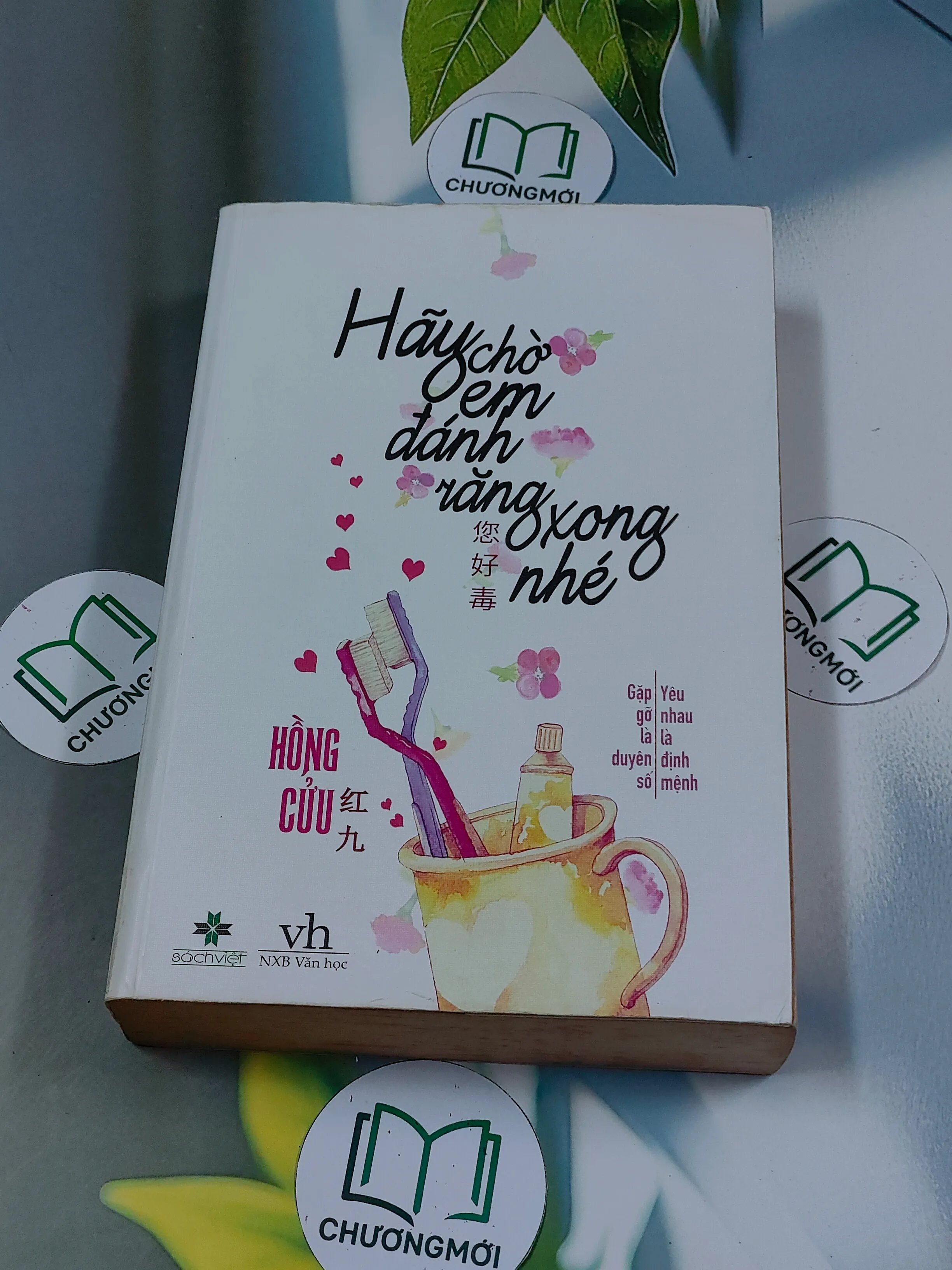 Hãy chờ em đánh răng xong nhé - Hồng Cửu