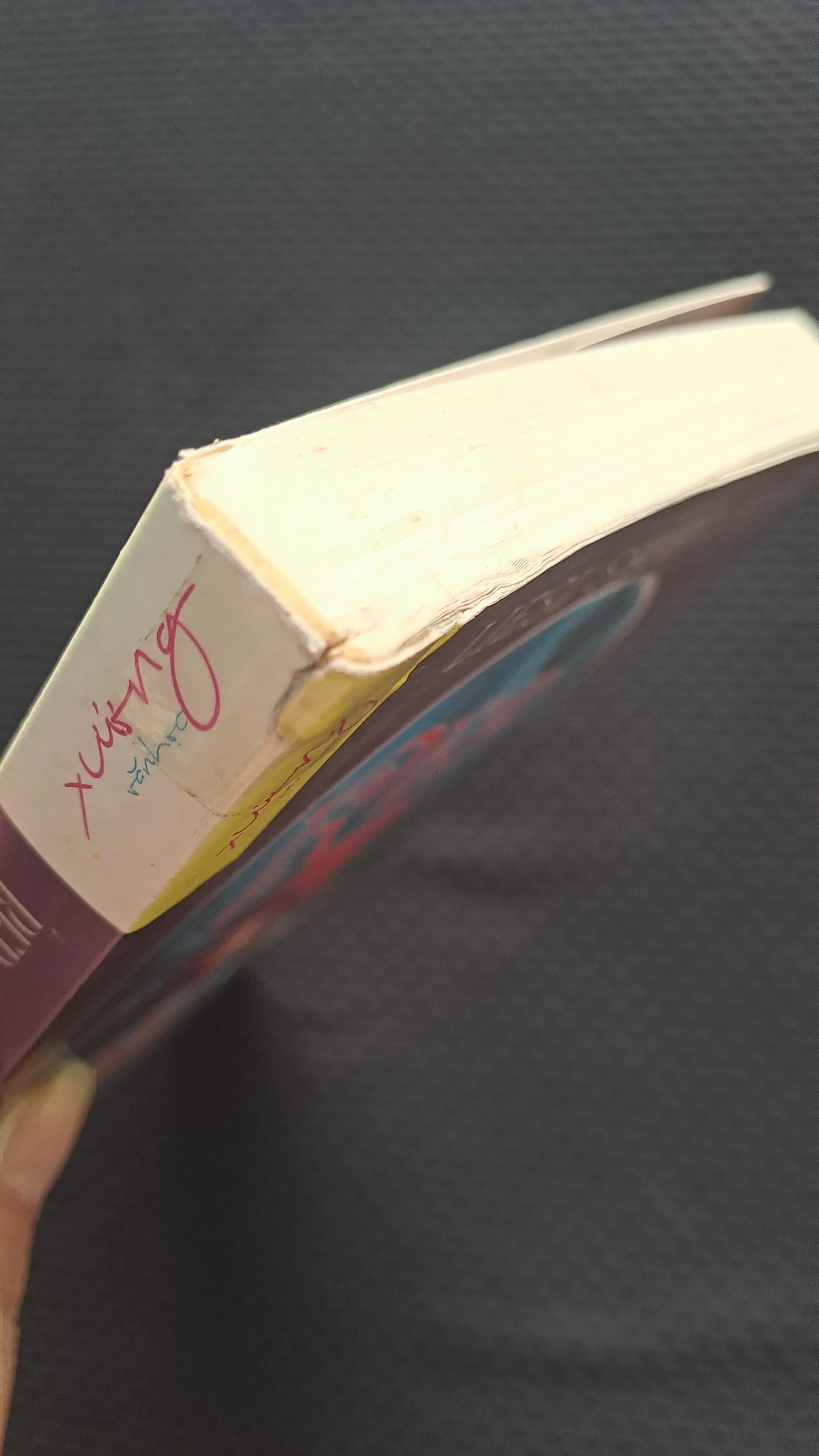 Red: Cuộc phiêu lưu của cô bé quàng khăn đỏ - Liesl Shurtliff 998574