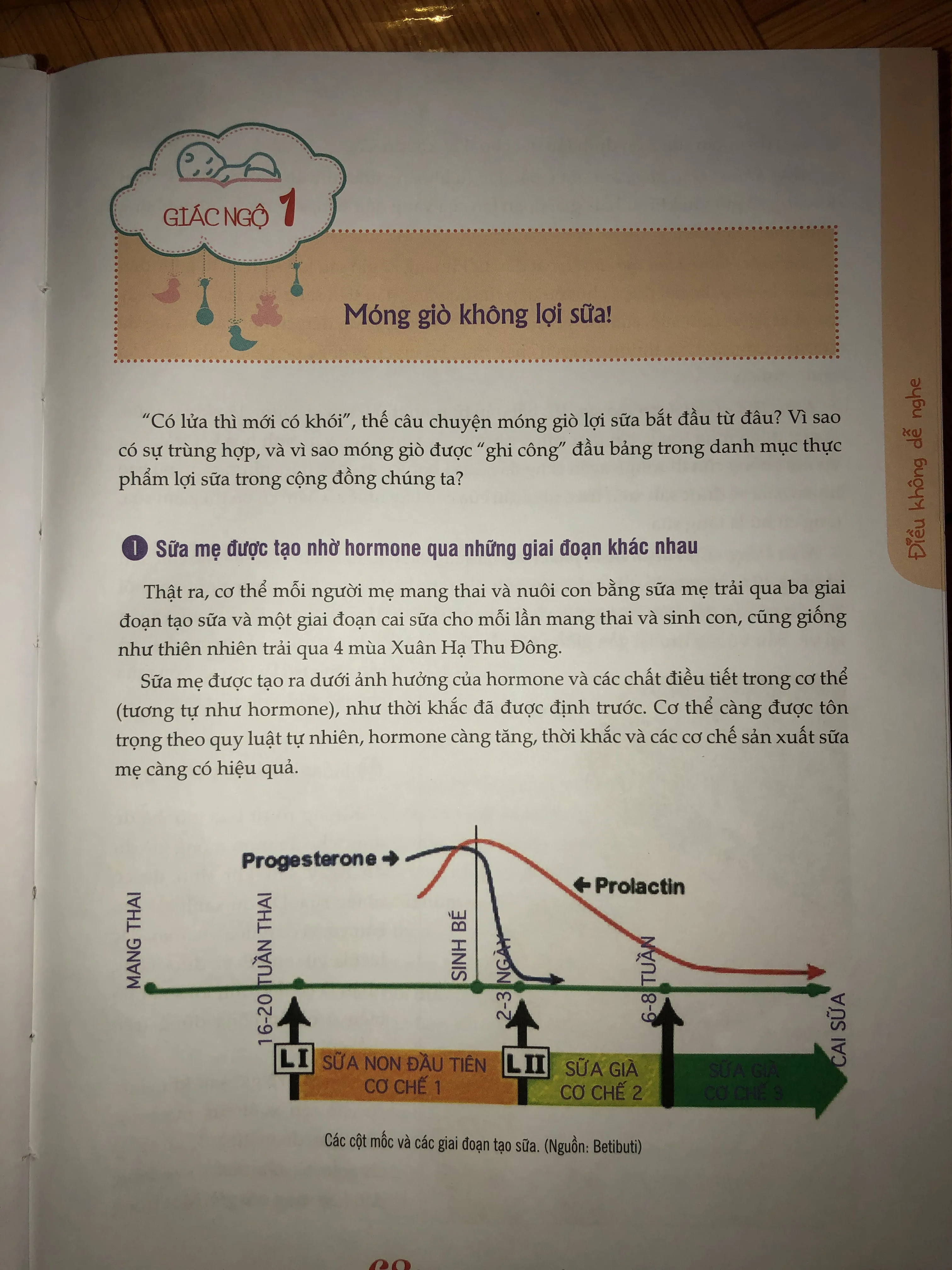 68 ngộ nhận và giác ngộ về nuôi con sữa mẹ - Sai và khó, đúng và dễ 674613