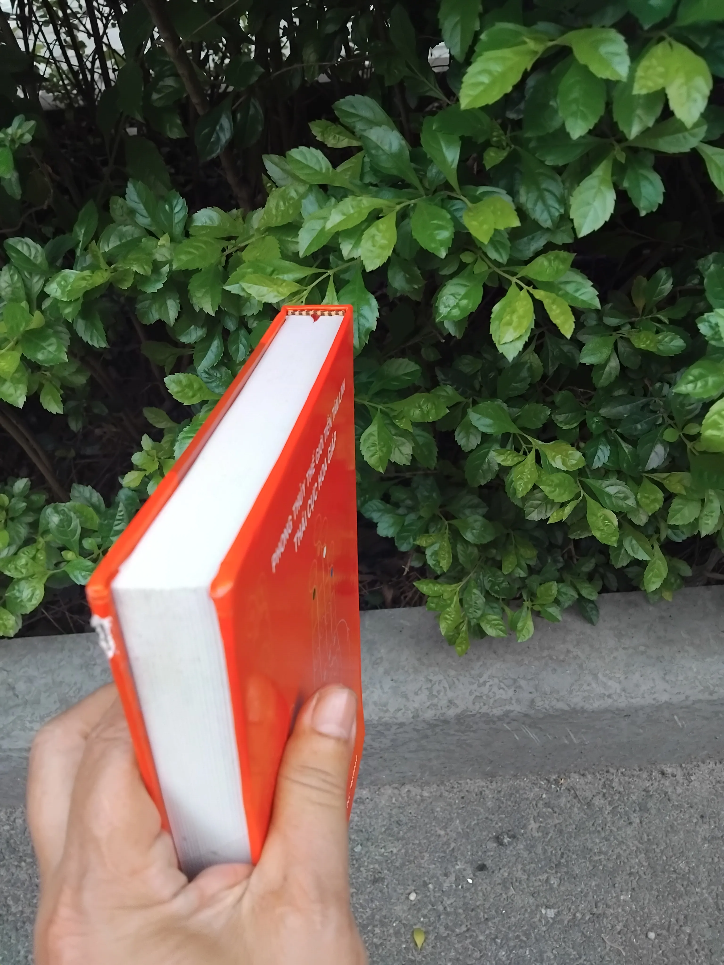 Hằng số luân hồi thái cực hoa giáp của TS Nguyễn Ngọc Thạch  1001360