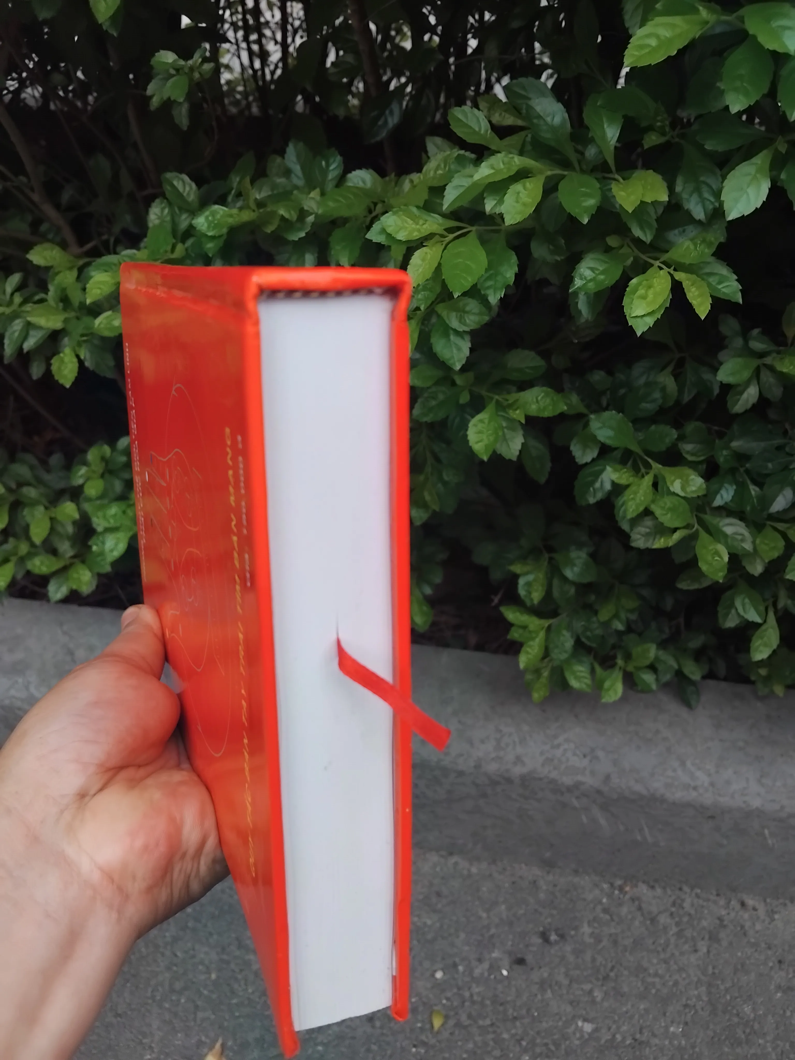 Hằng số luân hồi thái cực hoa giáp của TS Nguyễn Ngọc Thạch  1001360