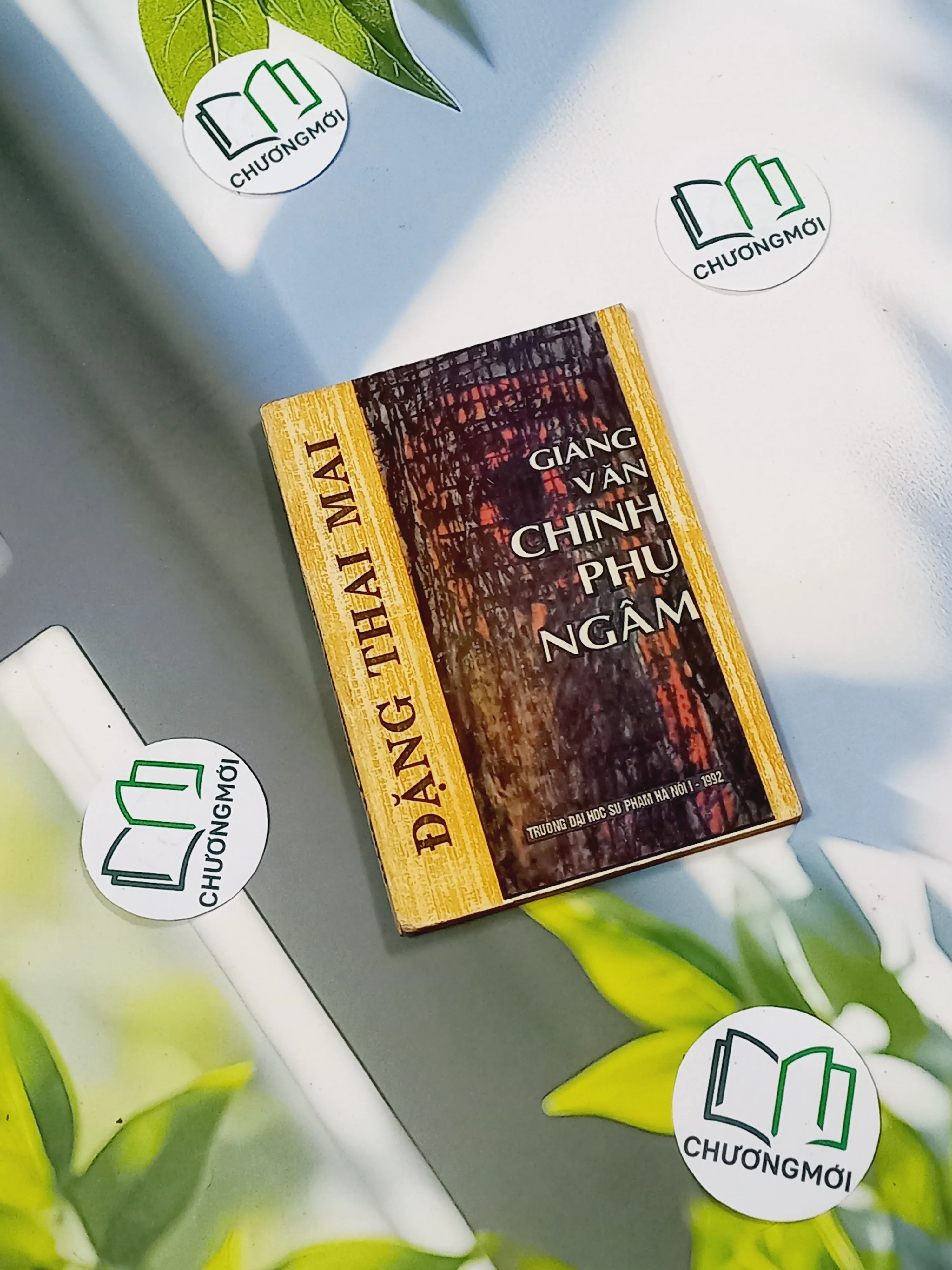 [XƯA] Giảng Văn Chinh Phụ Ngâm (1992) - Đặng Thai Mai