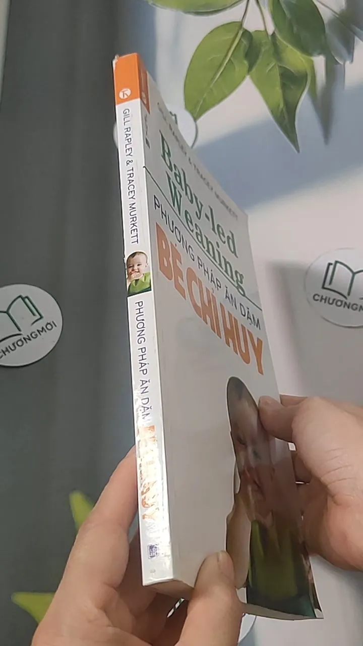 Phương pháp ăn dặm bé chỉ huy 688485