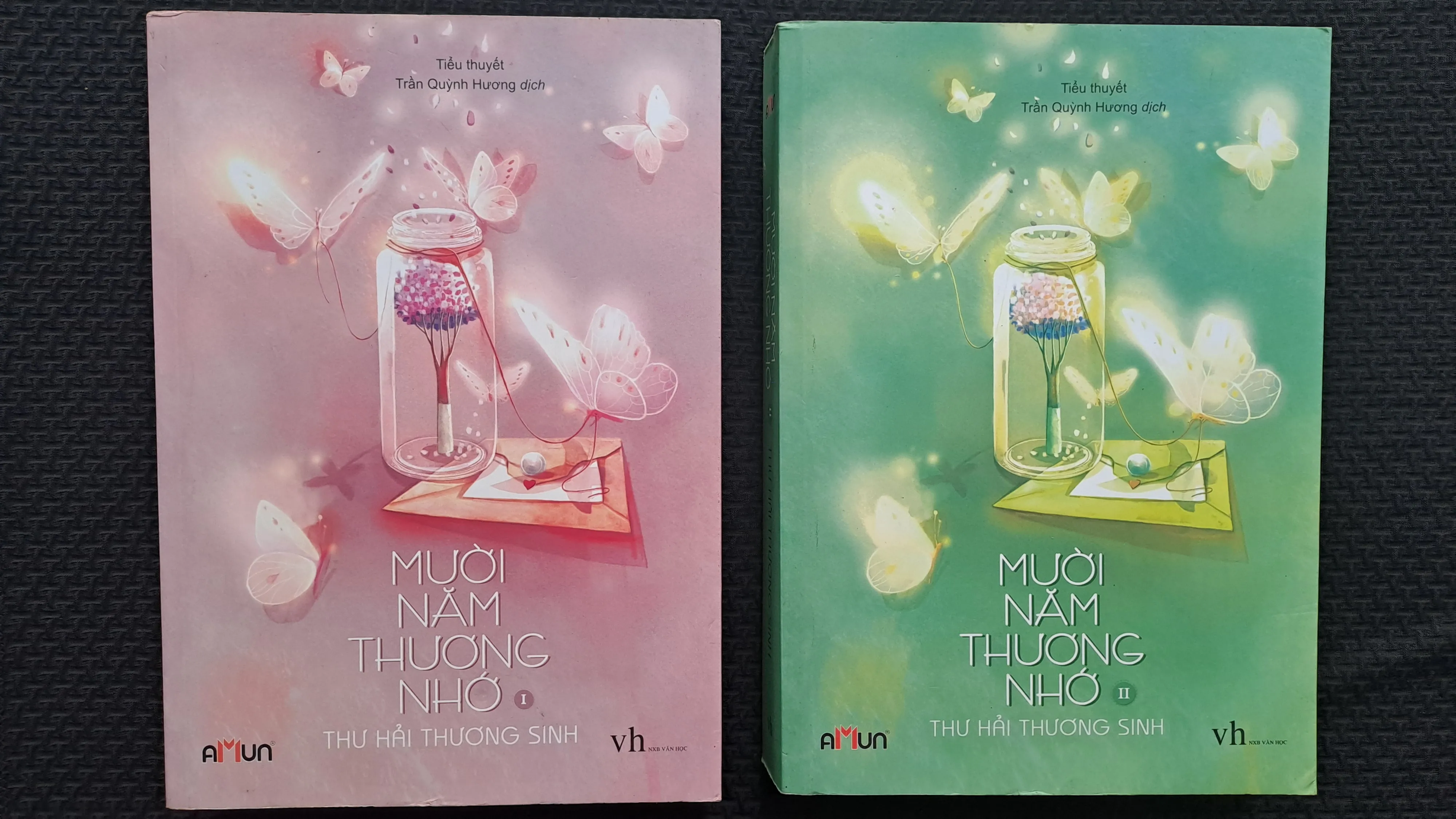 Mười năm thương nhớ - Thư Hải Thương Sinh