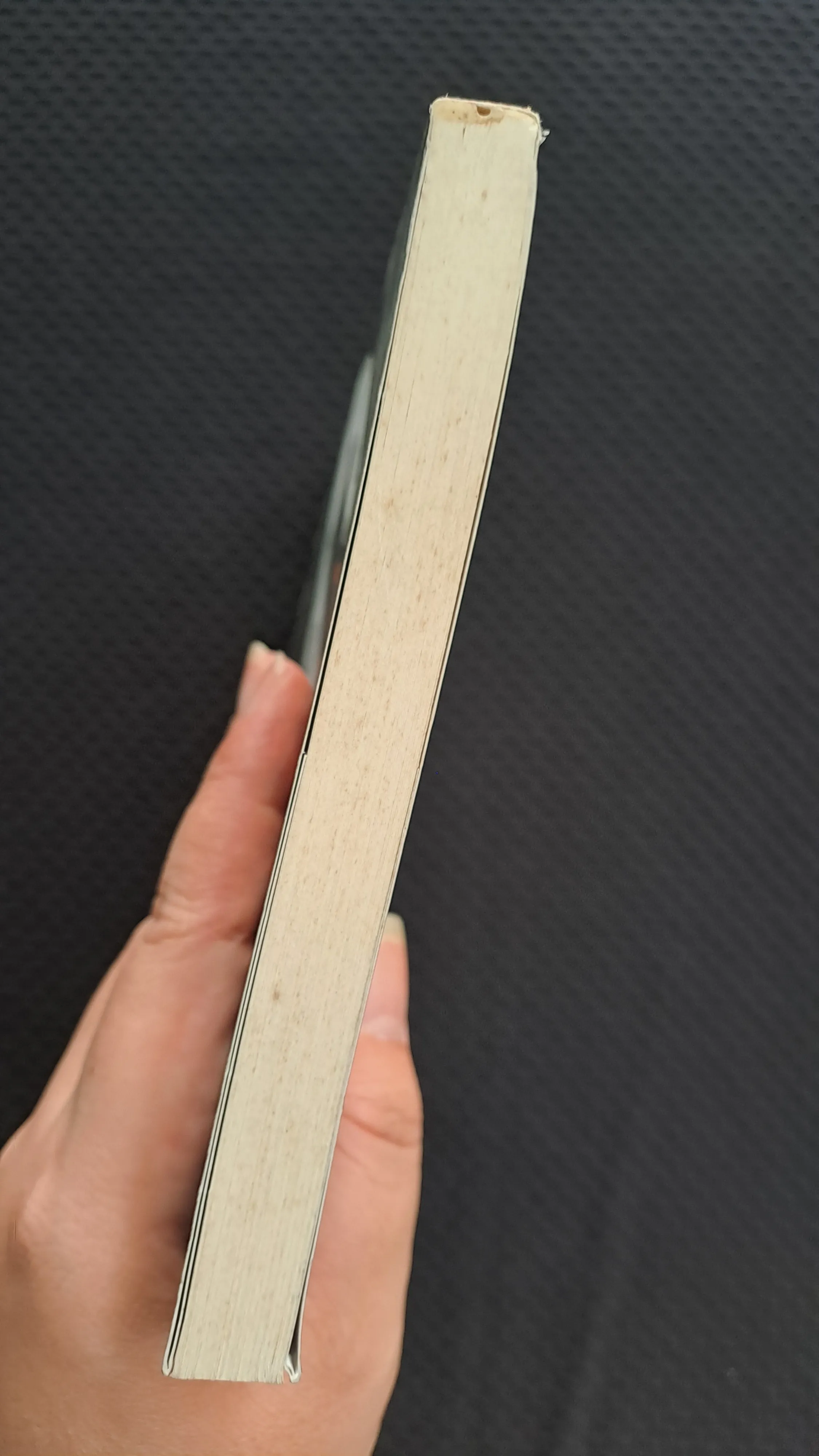 Sức mạnh của động lực - Roman Gelperin 973192