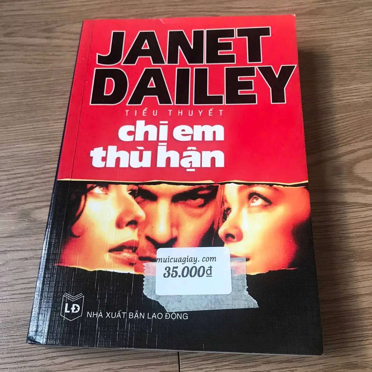 Chị em thù hận - Janet Dailey (bìa ngẫu nhiên)