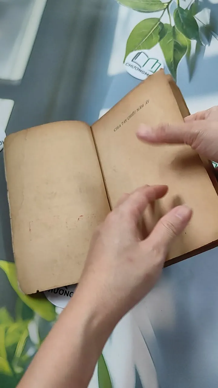 [XƯA] Chia Tay Chiều Năm Ấy (1991) - Đỗ Thị Thanh Hương 776084