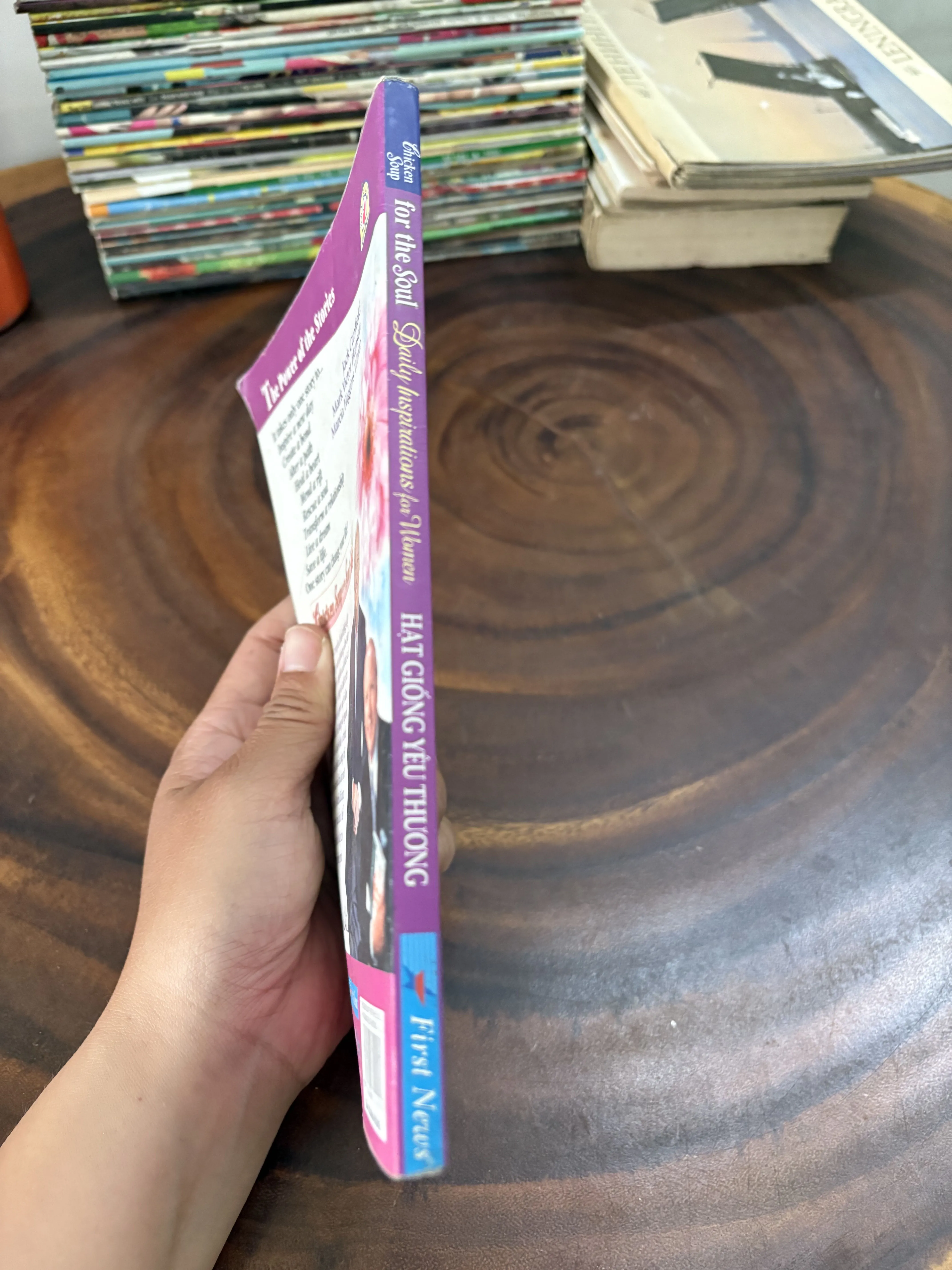 II Chicken Soup For The Soul: Hạt Giống Yêu Thương - 2009 999208