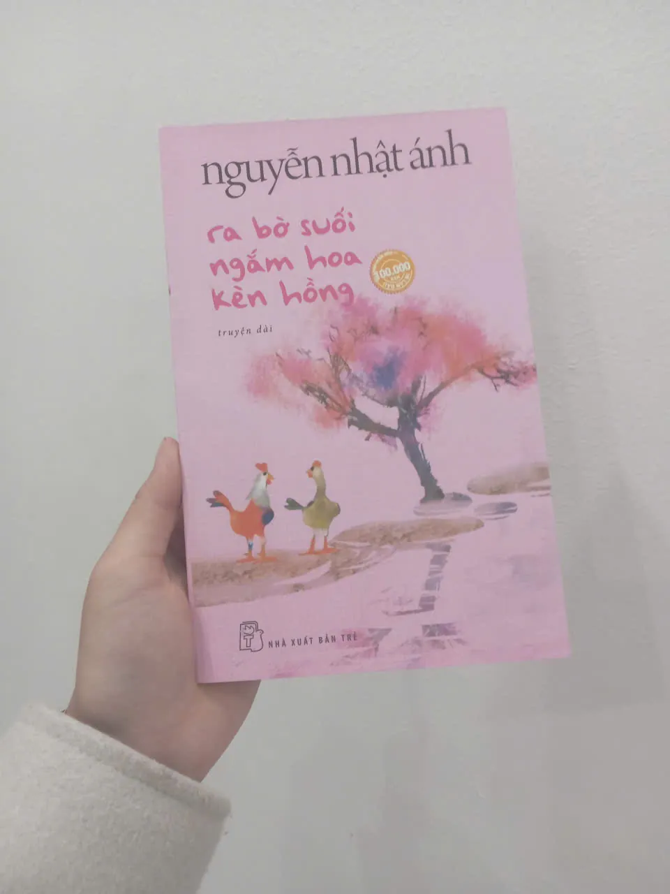 Ra bờ suối ngắm hoa kèn hồng