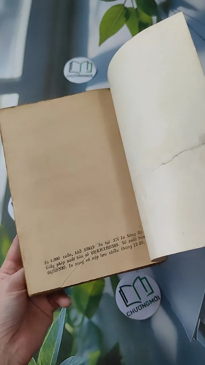 [XƯA] Bóng Hạnh Phúc (1989) - Thanh Thủy 997645