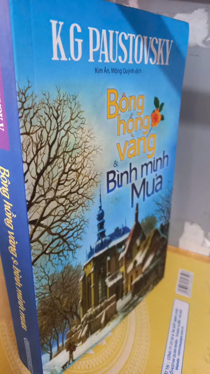 bông hồng vàng và bình minh mưa