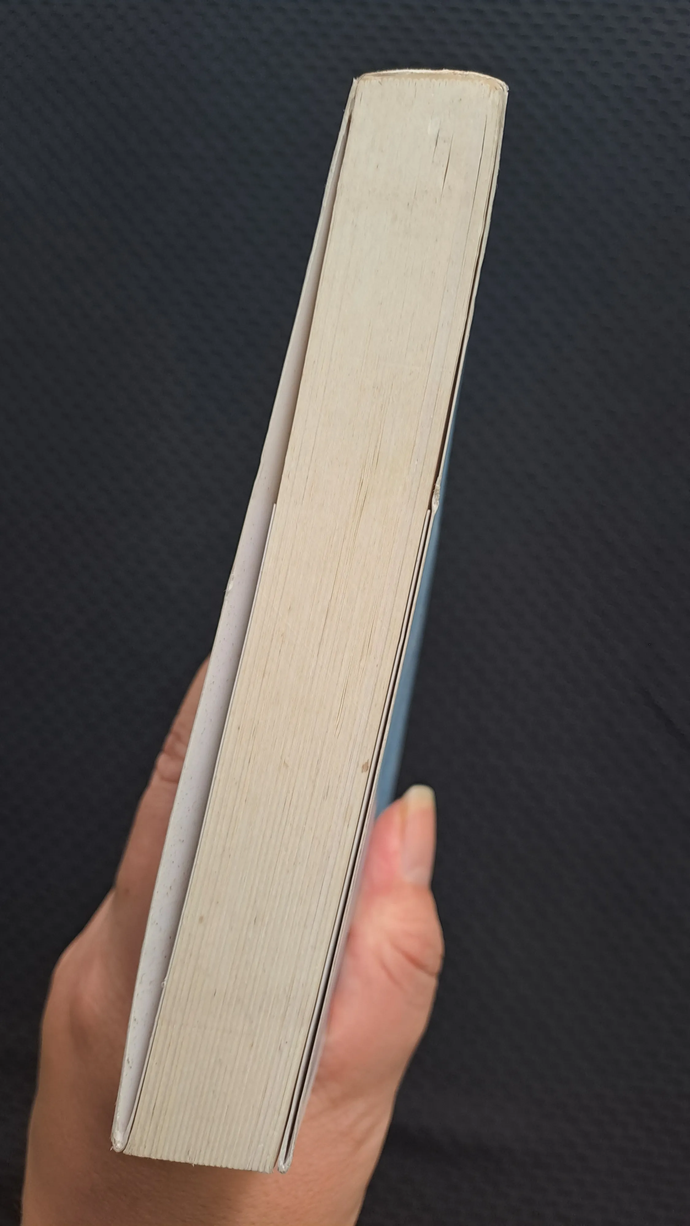 Chân trời góc bể - Diệp Lạc Vô Tâm 993355