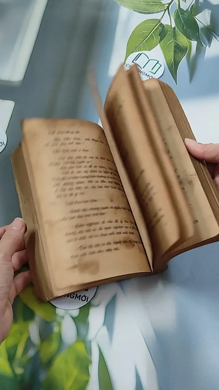 [XƯA] Chia Tay Chiều Năm Ấy (1991) - Đỗ Thị Thanh Hương 776084