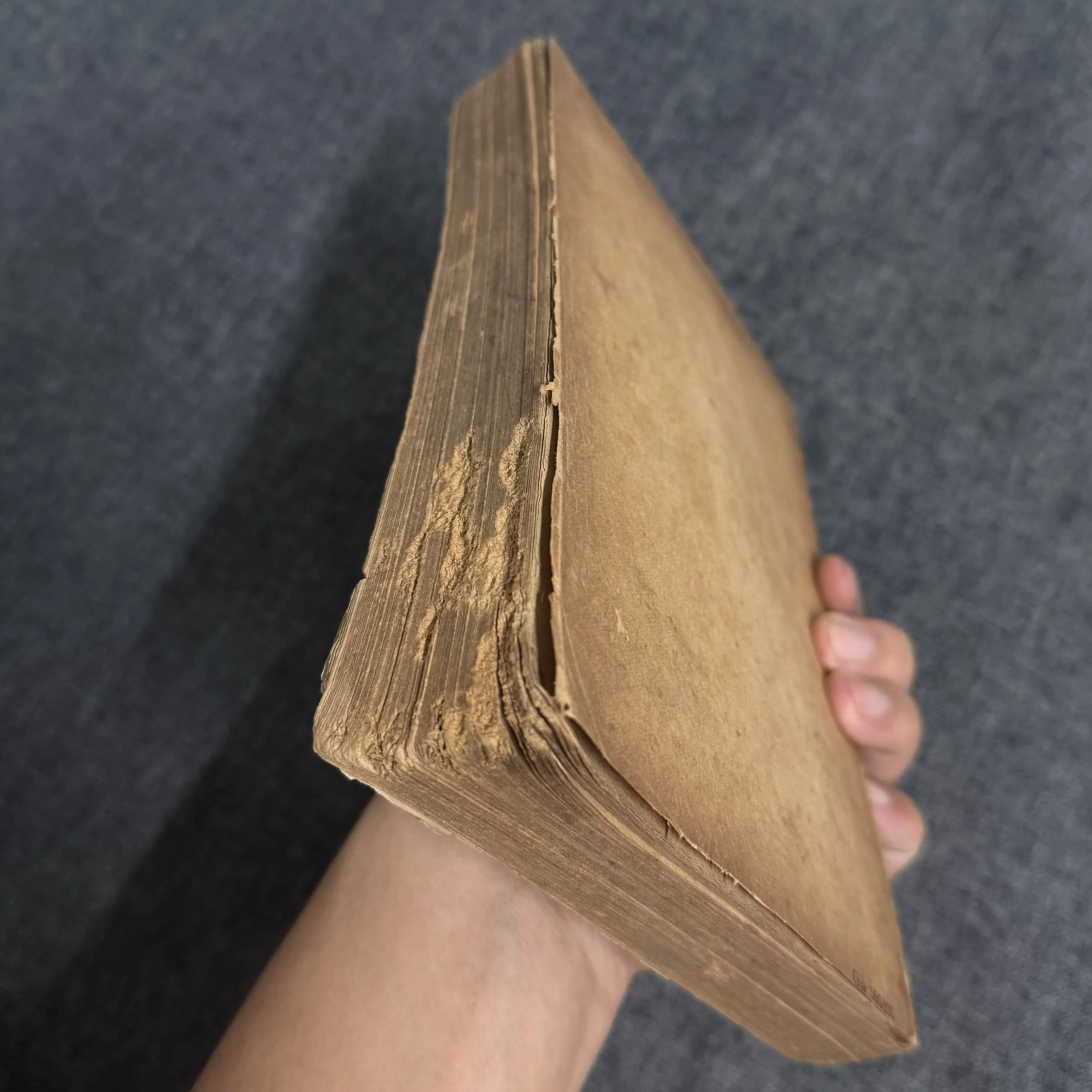 Sở từ - Khuất Nguyên 1000072