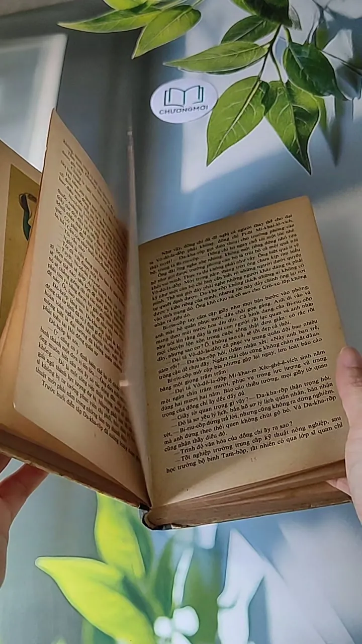 Người Thay Thế Chưa Tới (1986) - Nikolai Kambulev 607724