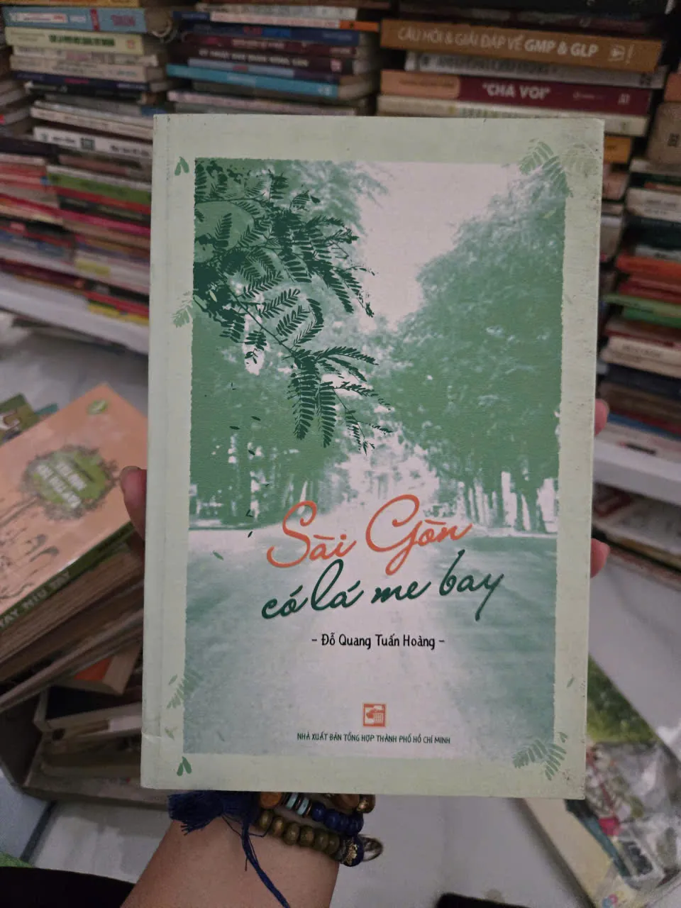 SÀI GÒN CÓ LÁ ME BAY