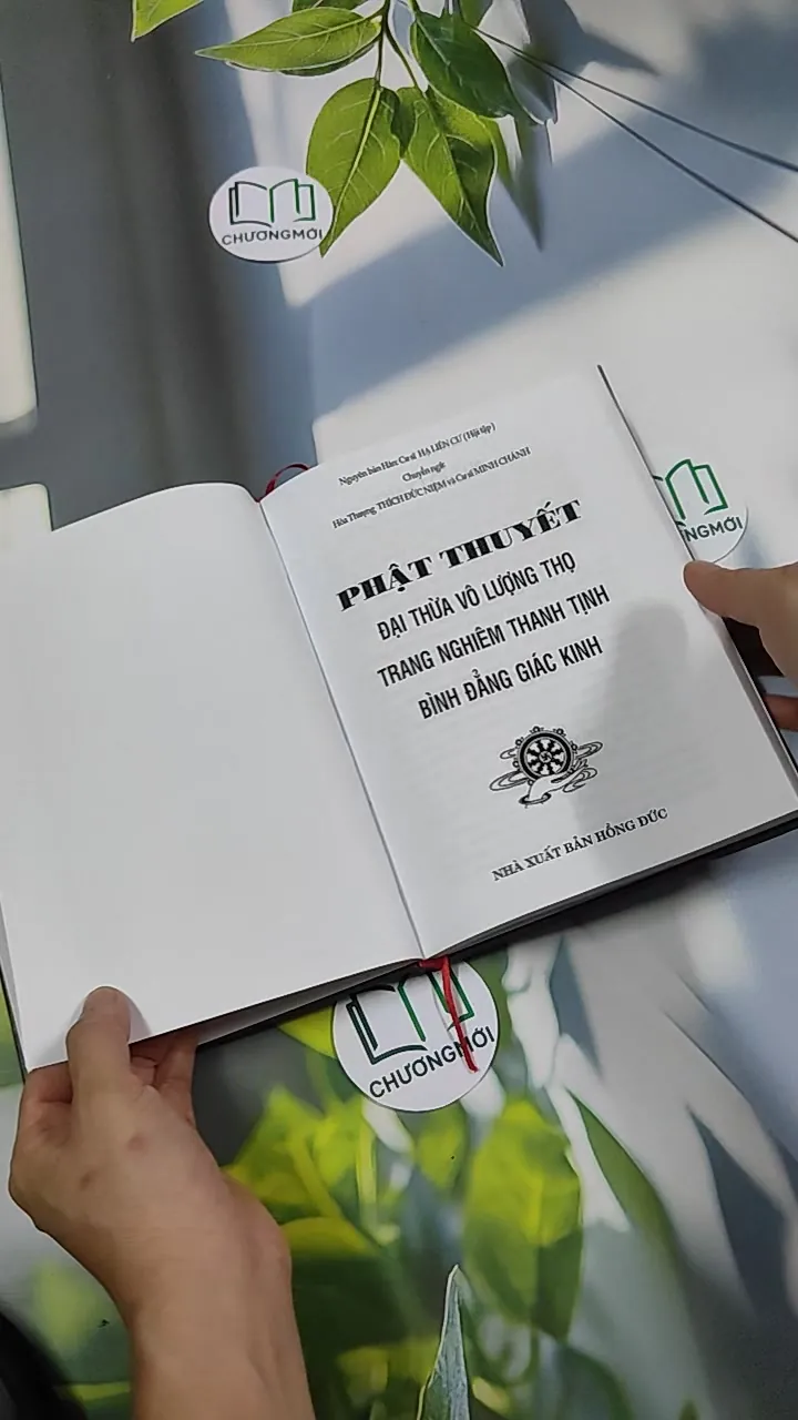 Đại Thừa Vô Lượng Thọ Trang Nghiêm Thanh Tịnh Bình Đẳng Giác Kinh - HT. Thích Đức Niệm 750812