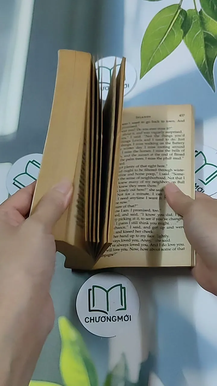 Islands - Anne Rivers Siddons 634511