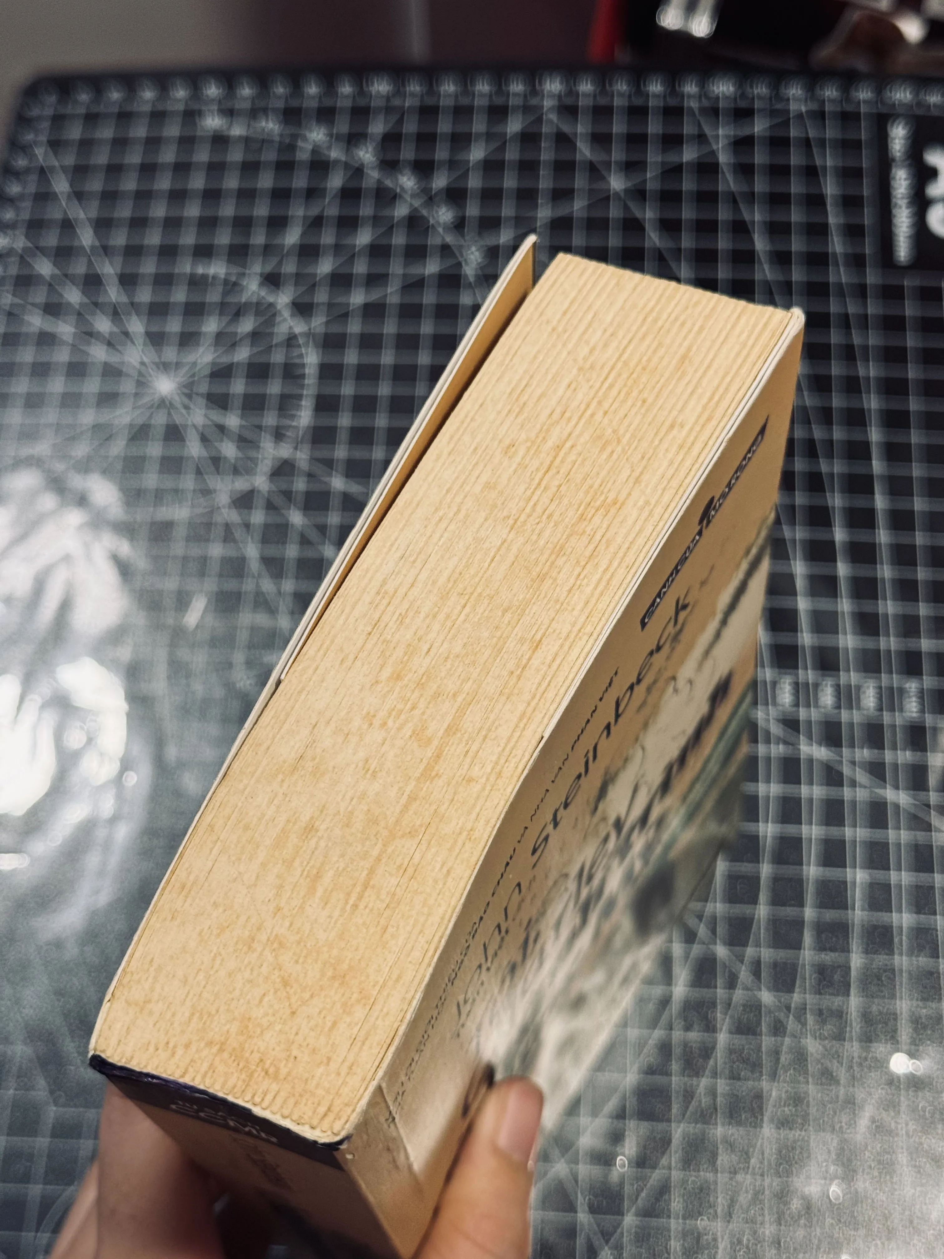 Tôi, Charley và hành trình nước Mỹ 693571