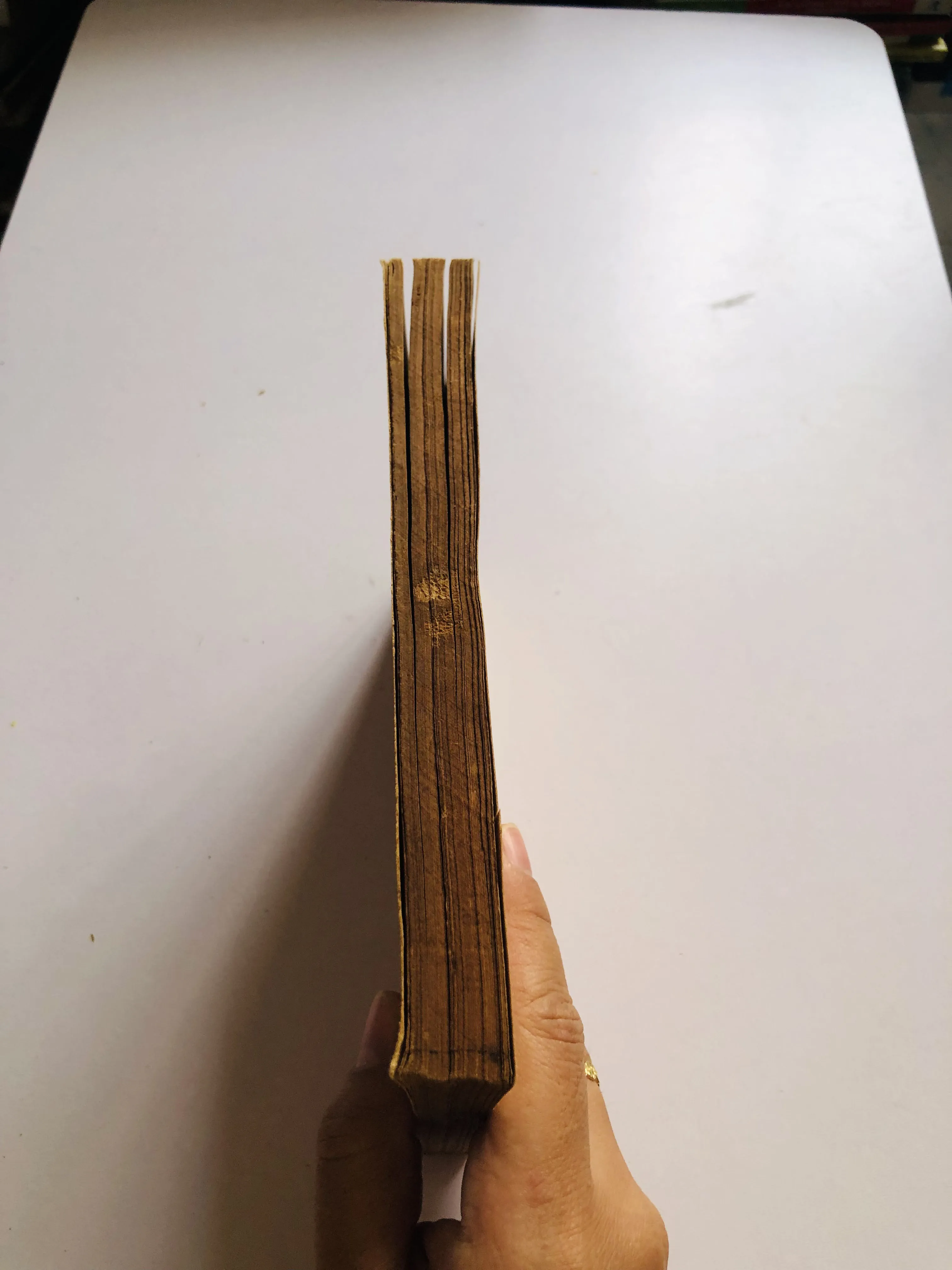 TRÙNG ÂM DỊ TỰ – Phạm Hữu Điển 1949 752808