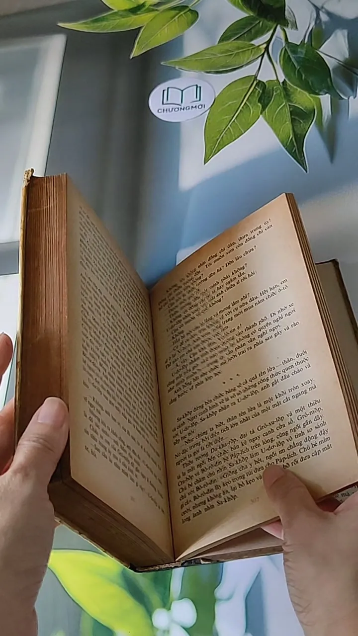 Người Thay Thế Chưa Tới (1986) - Nikolai Kambulev 607724