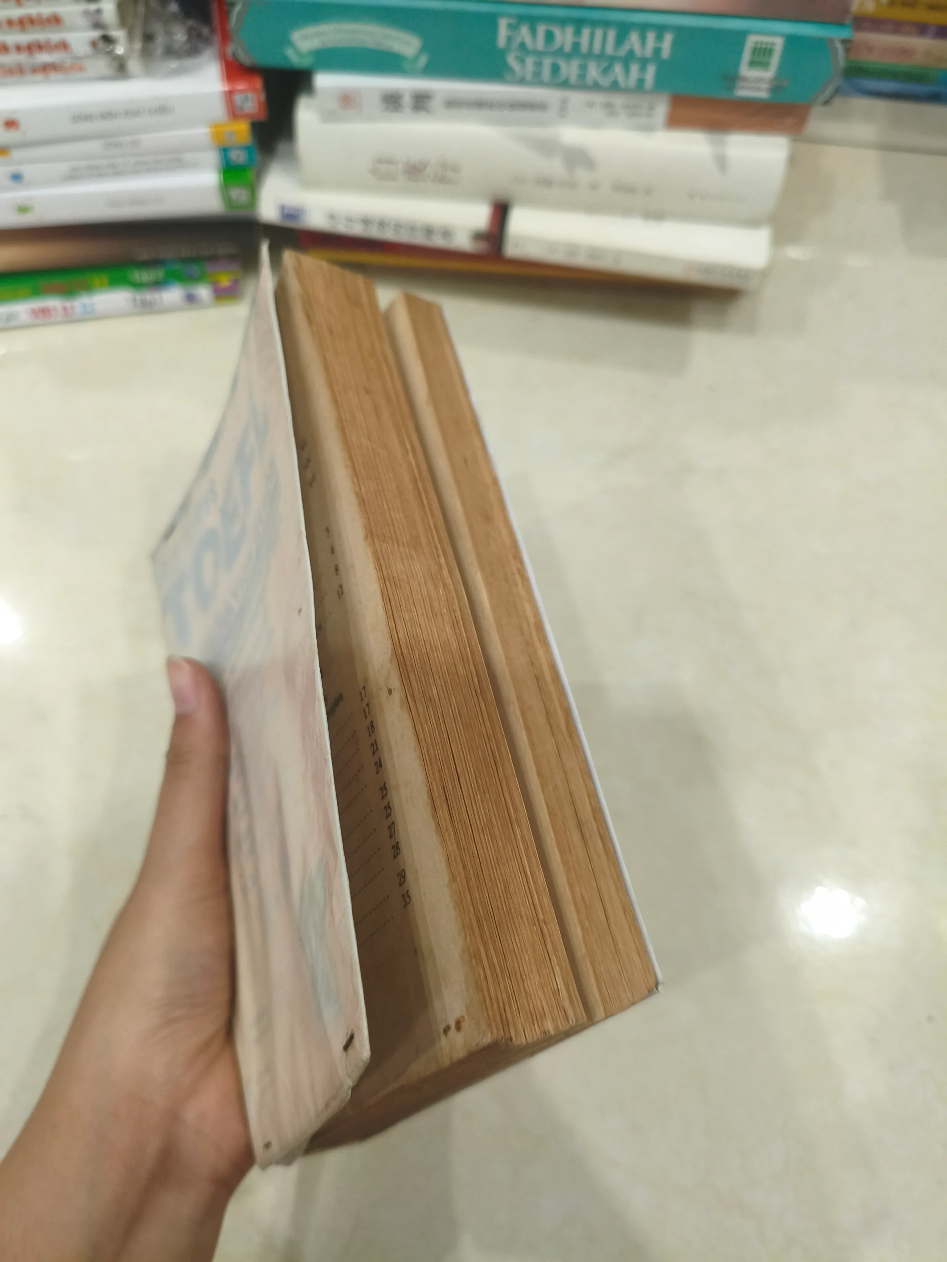 New Cliffs TOEFL 🌱 689302