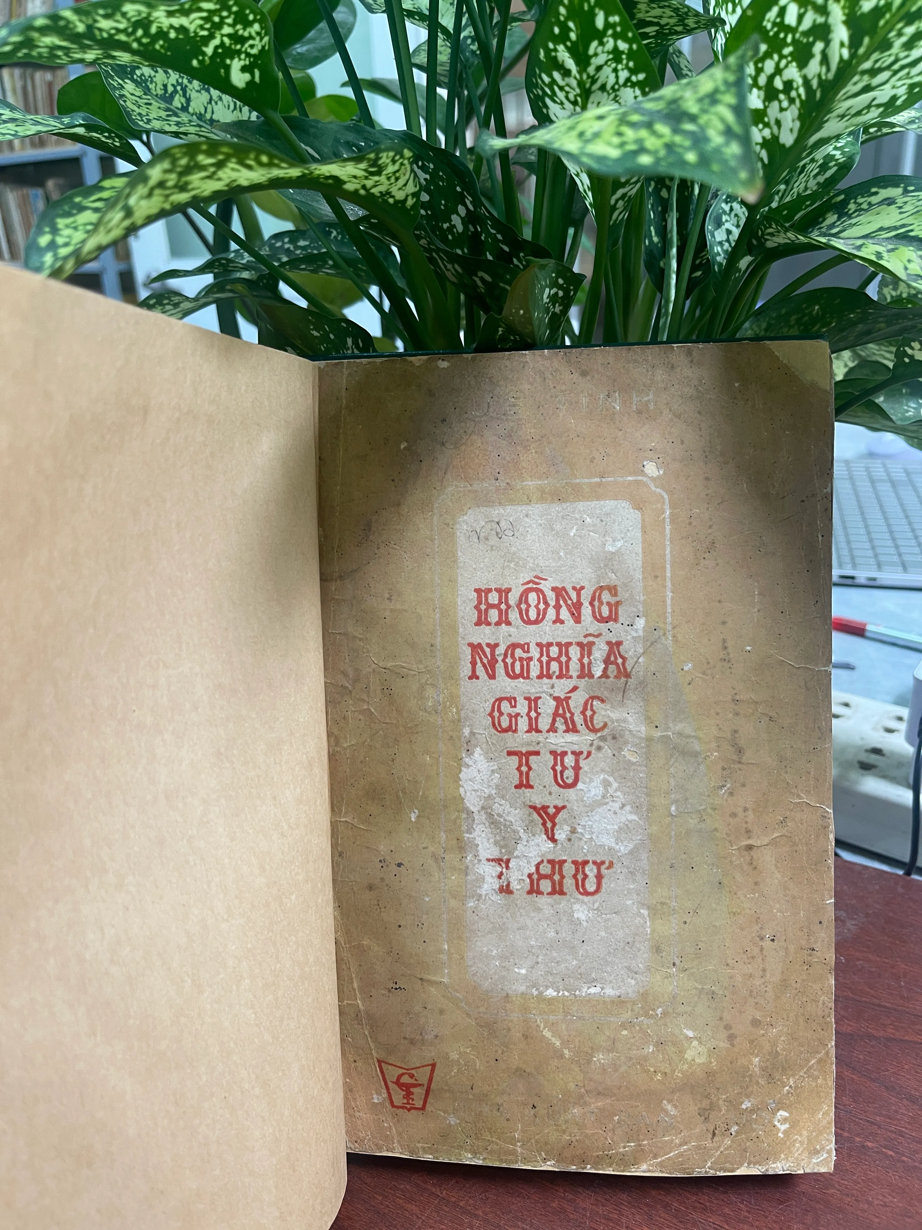 Hồng nghĩa giác tư y thư