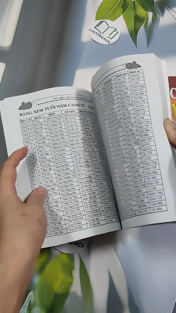 Combo: Phong Tục Chọn Ngày, 365 Ngày Vạn Sự 2020 776187