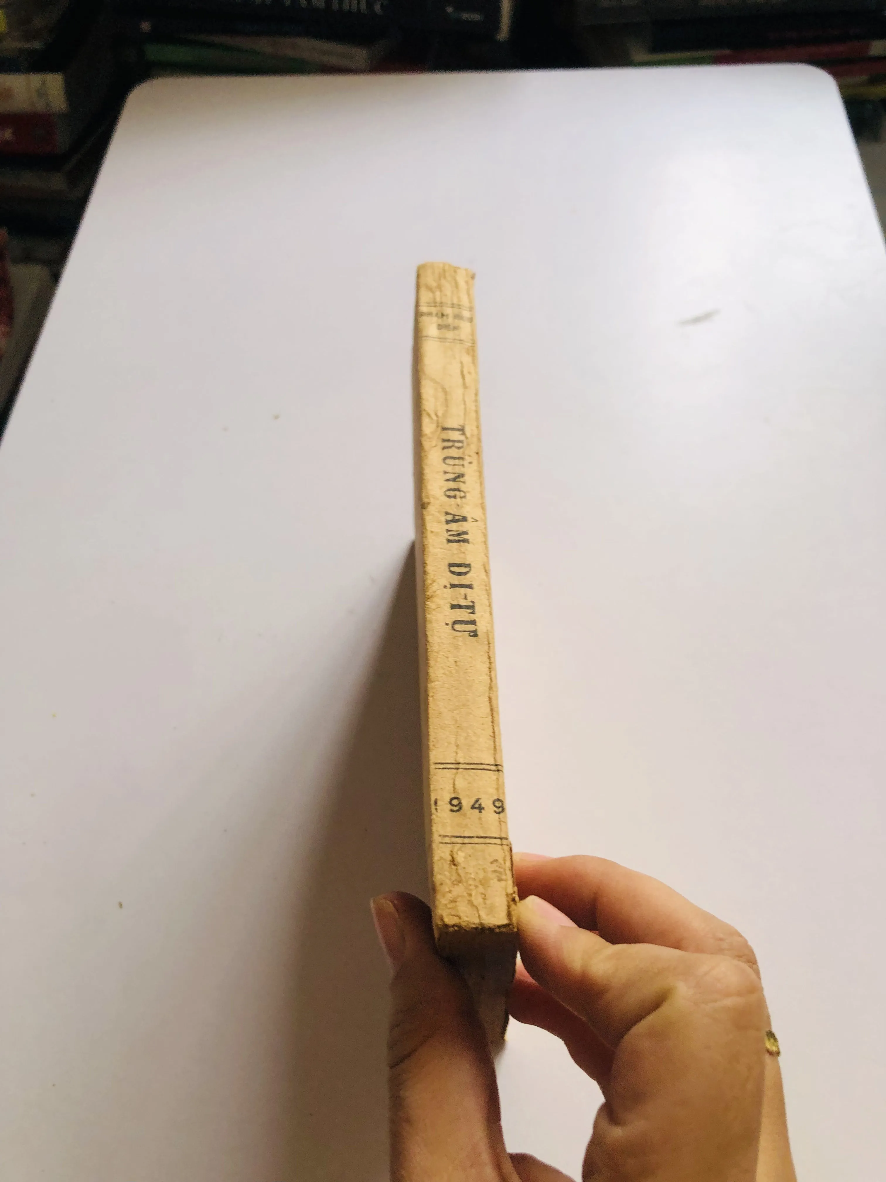 TRÙNG ÂM DỊ TỰ – Phạm Hữu Điển 1949 752808