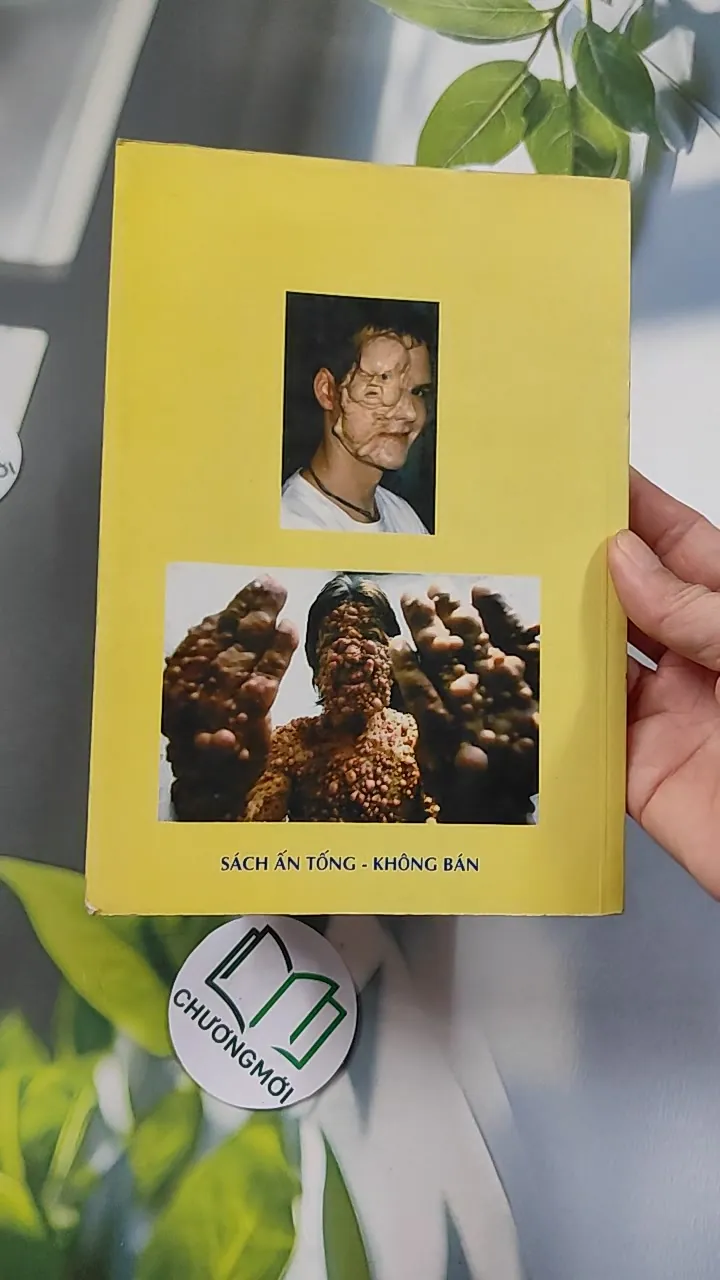 Báo Ứng Hiện Đời - Hạnh Đoan 776114