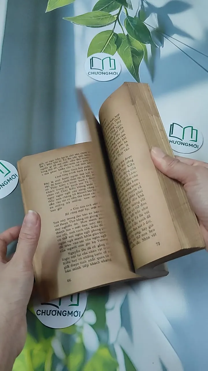 [MIỄN PHÍ BỌC SÁCH] [XƯA] Tiểu Thuyết Việt Nam Hiện Đại 2 (1978) - Phan Cự Đệ 776017