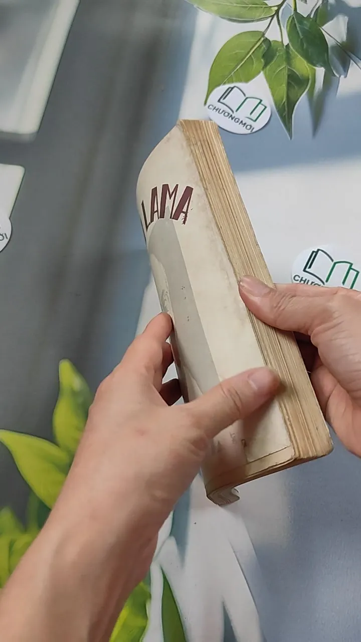 Dalai Lama - Tại Đại Học Harvard Vài Luận Đề Về Giáo Lý Phật Giáo - Dalai Lama 776097