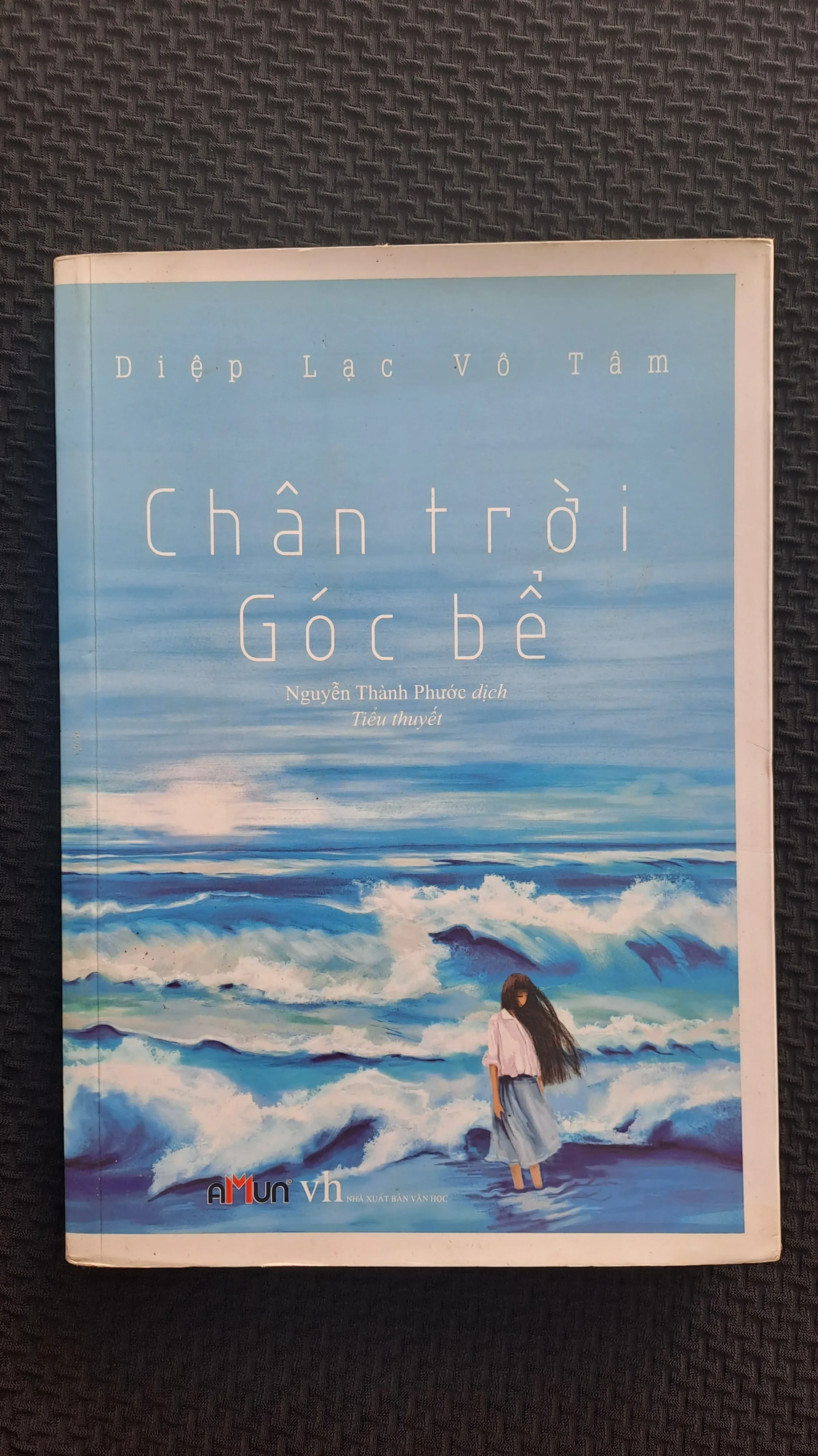 Chân trời góc bể - Diệp Lạc Vô Tâm