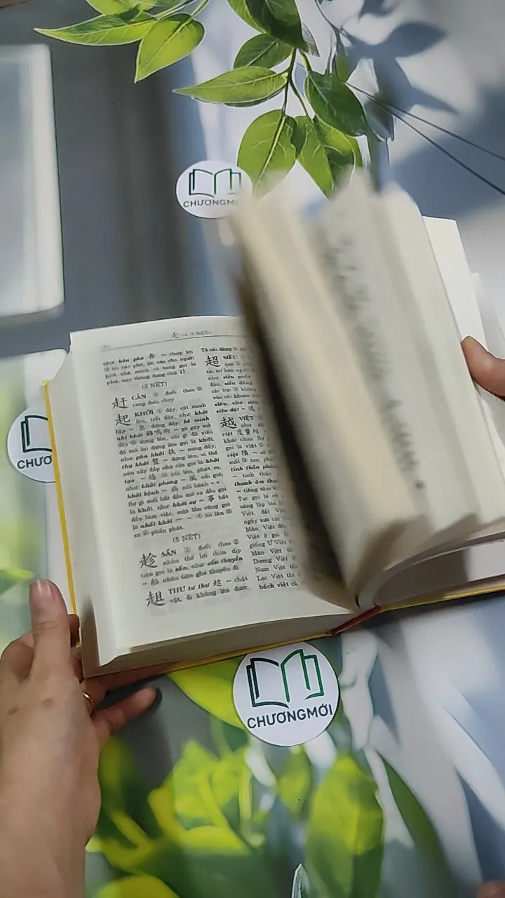 [MIỄN PHÍ BỌC SÁCH] Hán Việt Tự Điển - Thiều Chửu 750810