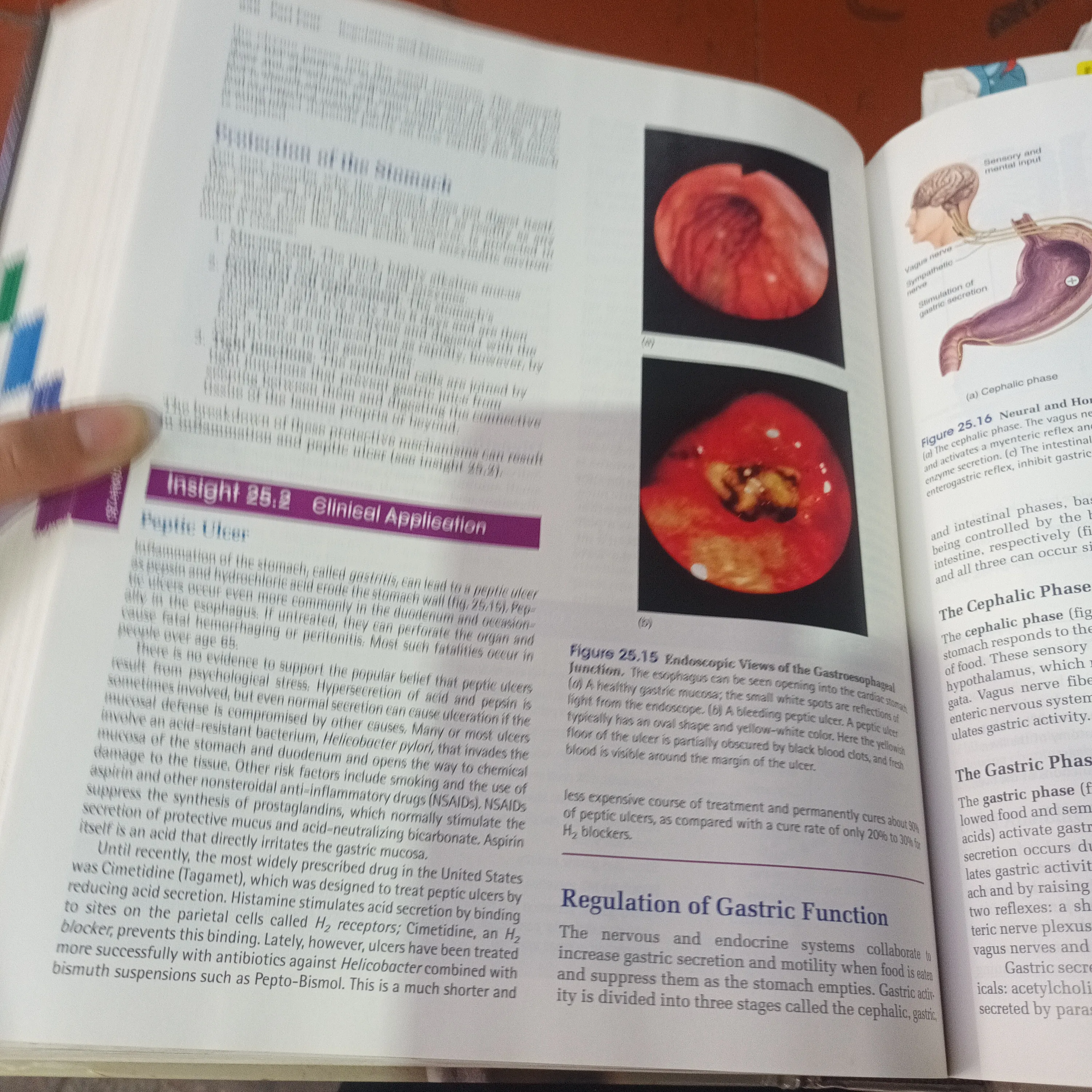 ANATOMY & PHYSIOLOGY - Kenneth S.Saladin 1001349