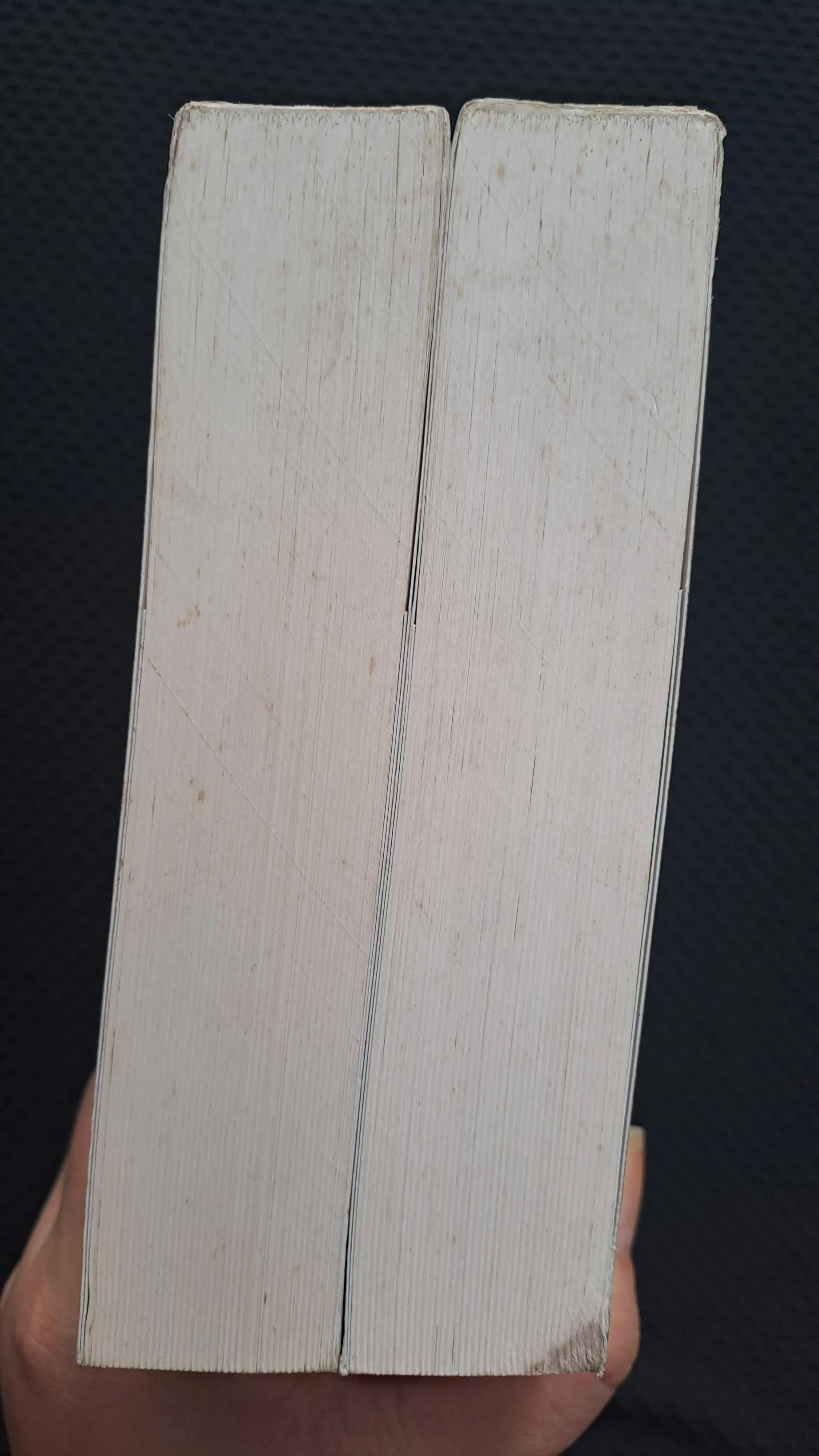 Mười năm thương nhớ - Thư Hải Thương Sinh 981472