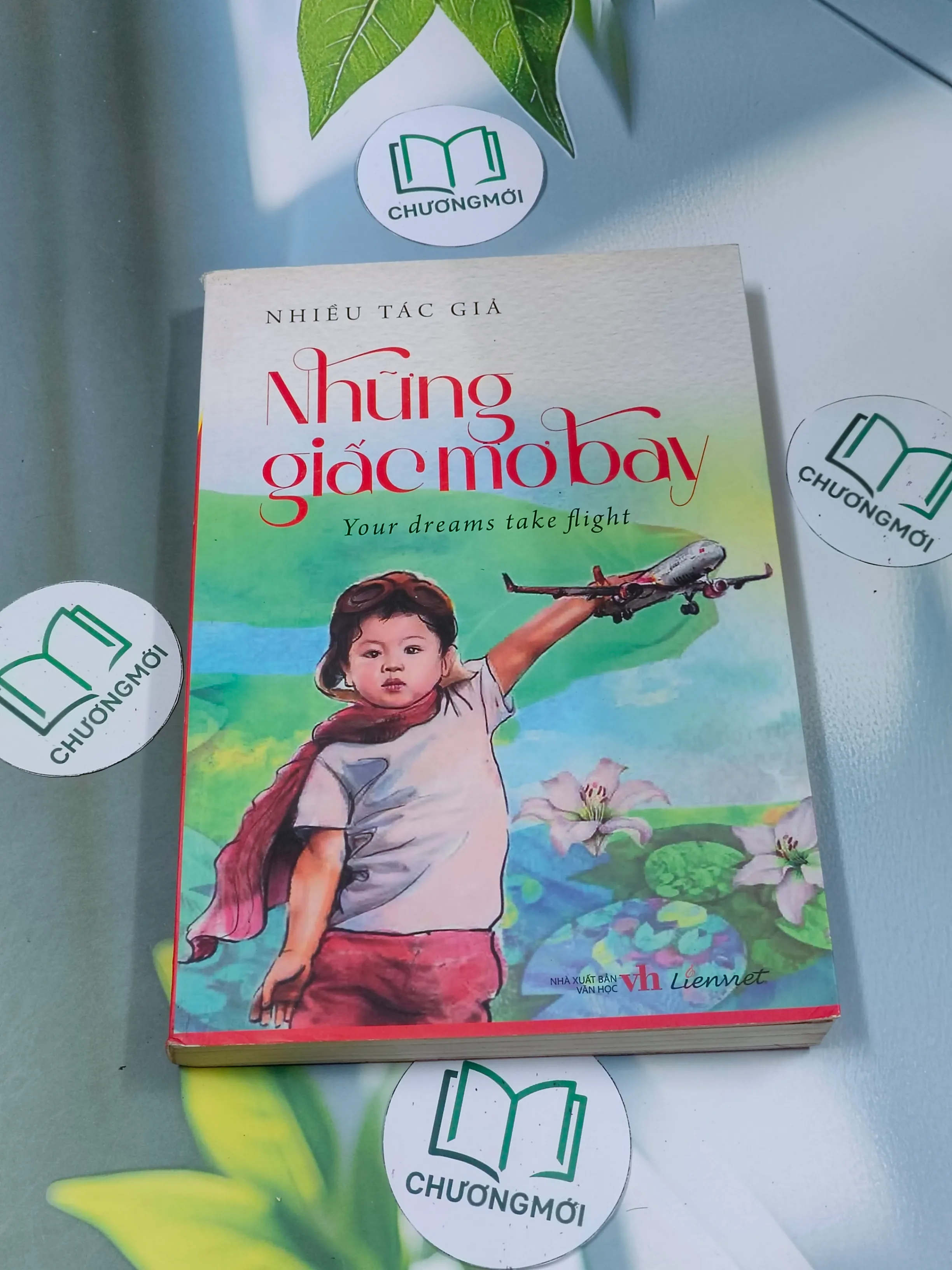 [MIỄN PHÍ BỌC SÁCH] Những giấc mơ bay - Your dreams take flight ( song ngữ )