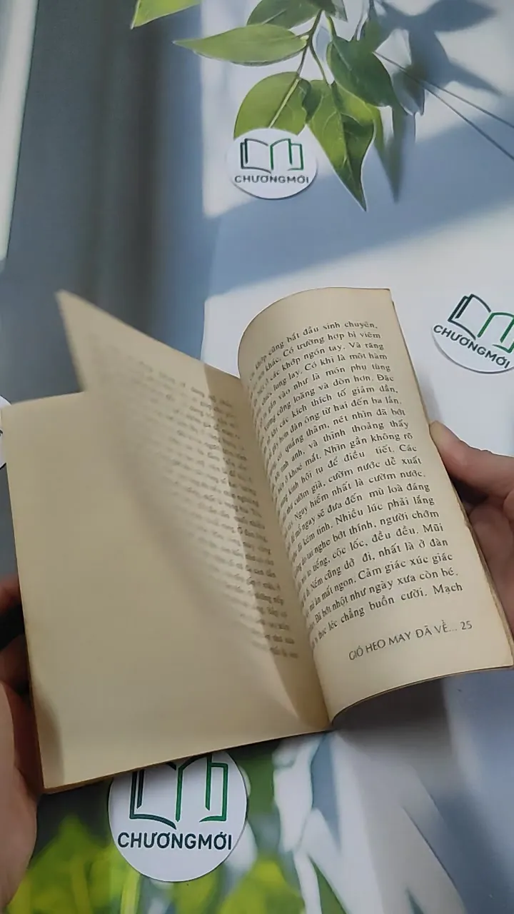 Gió Heo May Đã Về - BS Đỗ Hồng Ngọc 776045