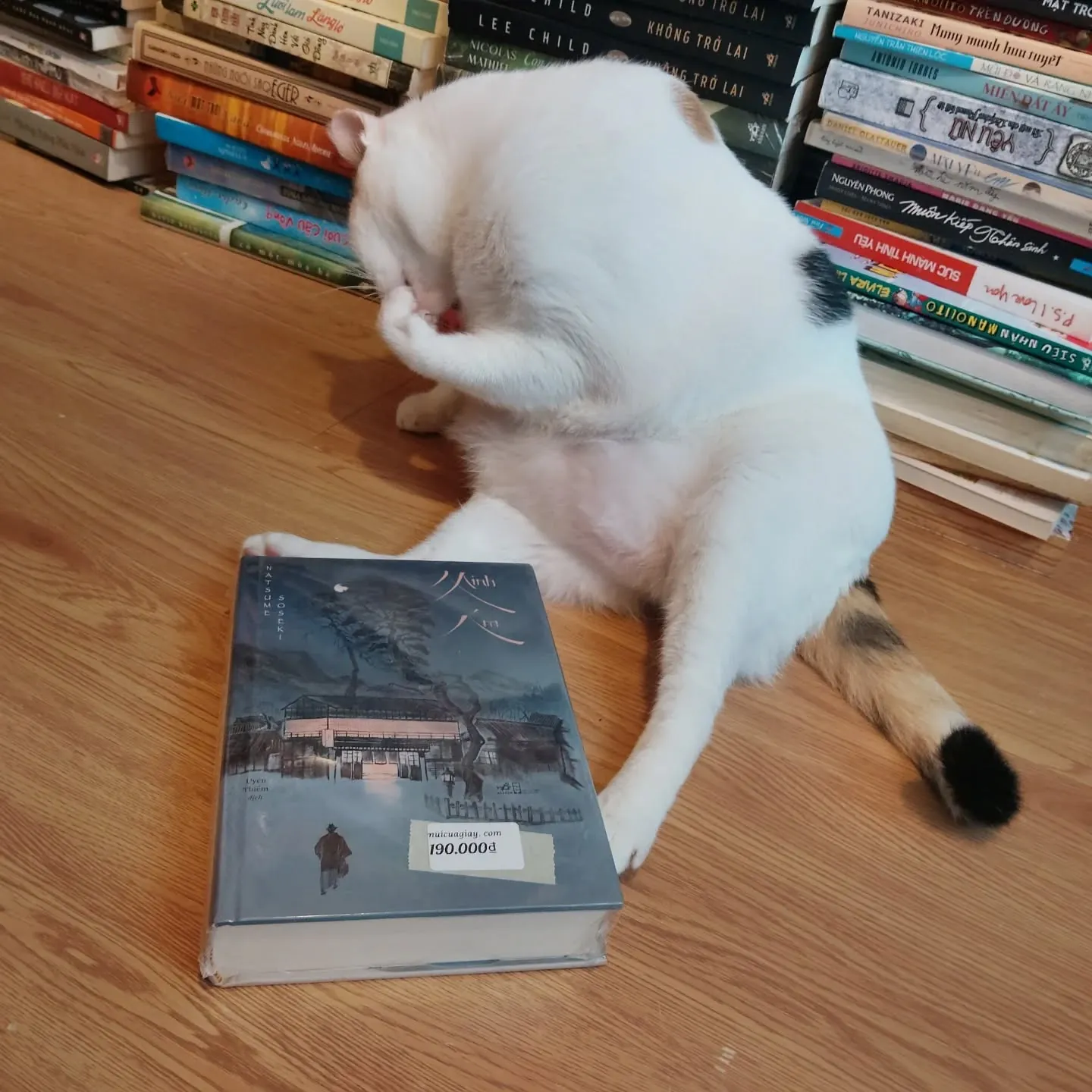 Minh ám -  Natsume Soeki (bìa cứng)