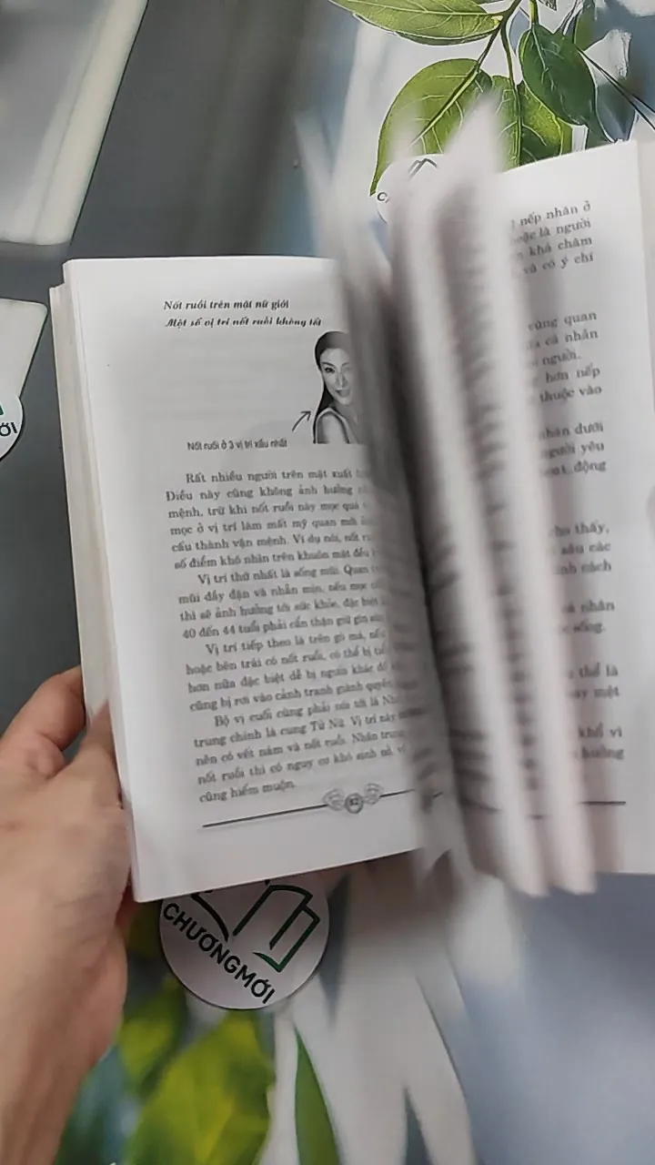 Giải Mã Nốt Ruồi - Mê Linh 776116