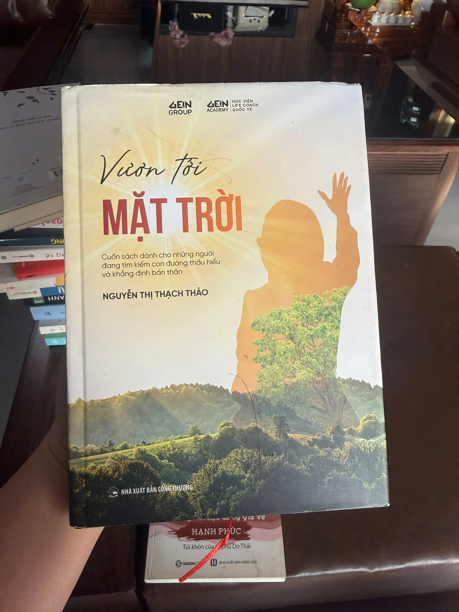 VƯƠN TỚI MẶT TRỜI – Nguyễn Thị Thạch Thảo | Sách phát triển bản thân truyền cảm hứng- K2