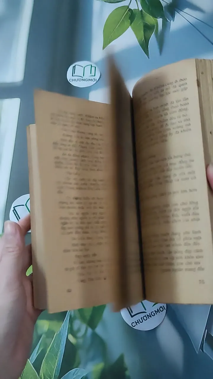 [XƯA] Bóng Hạnh Phúc (1989) - Thanh Thủy 997645