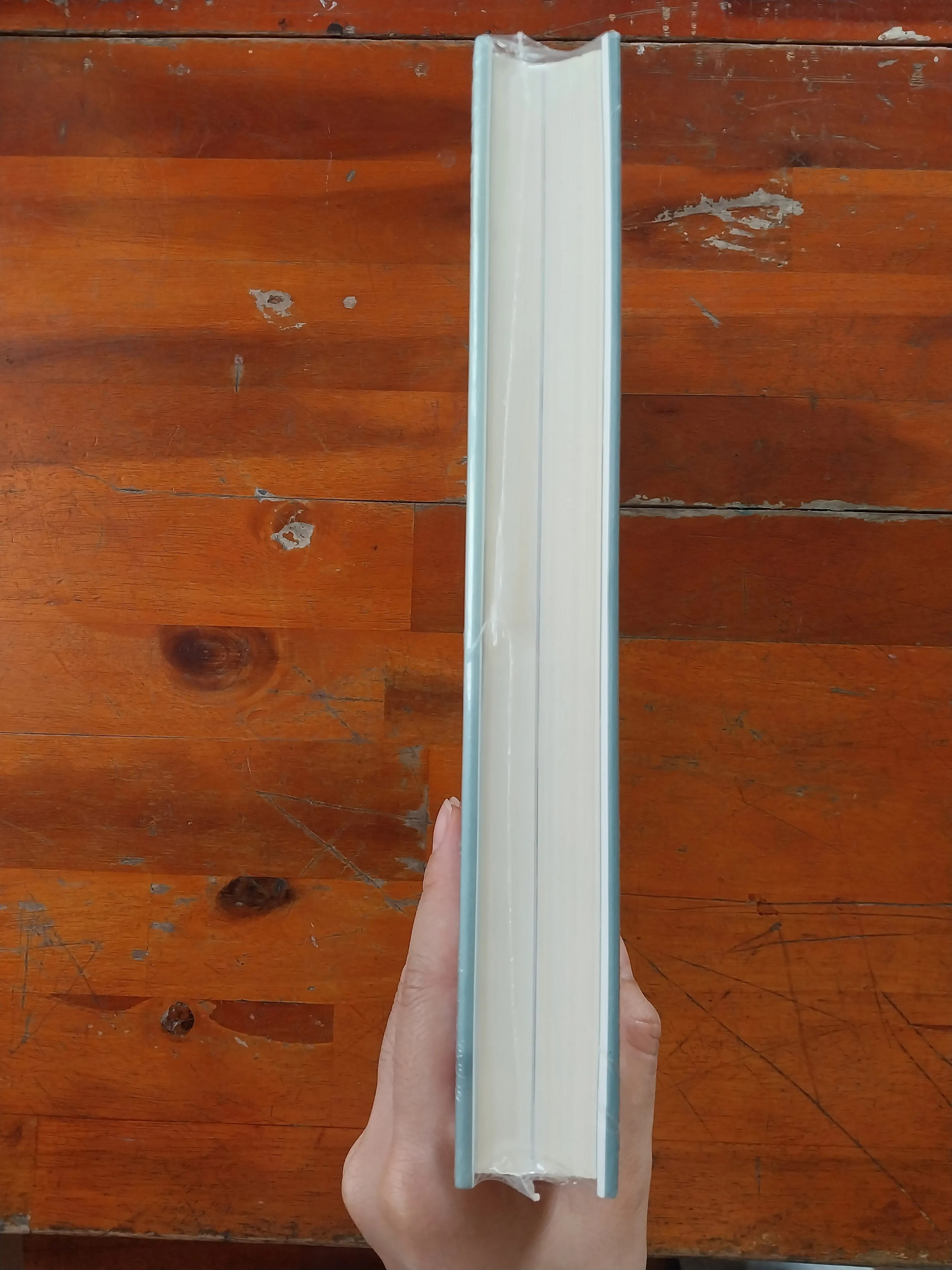 Sách Truyện Becoming - Michelle Obama, Còn mới