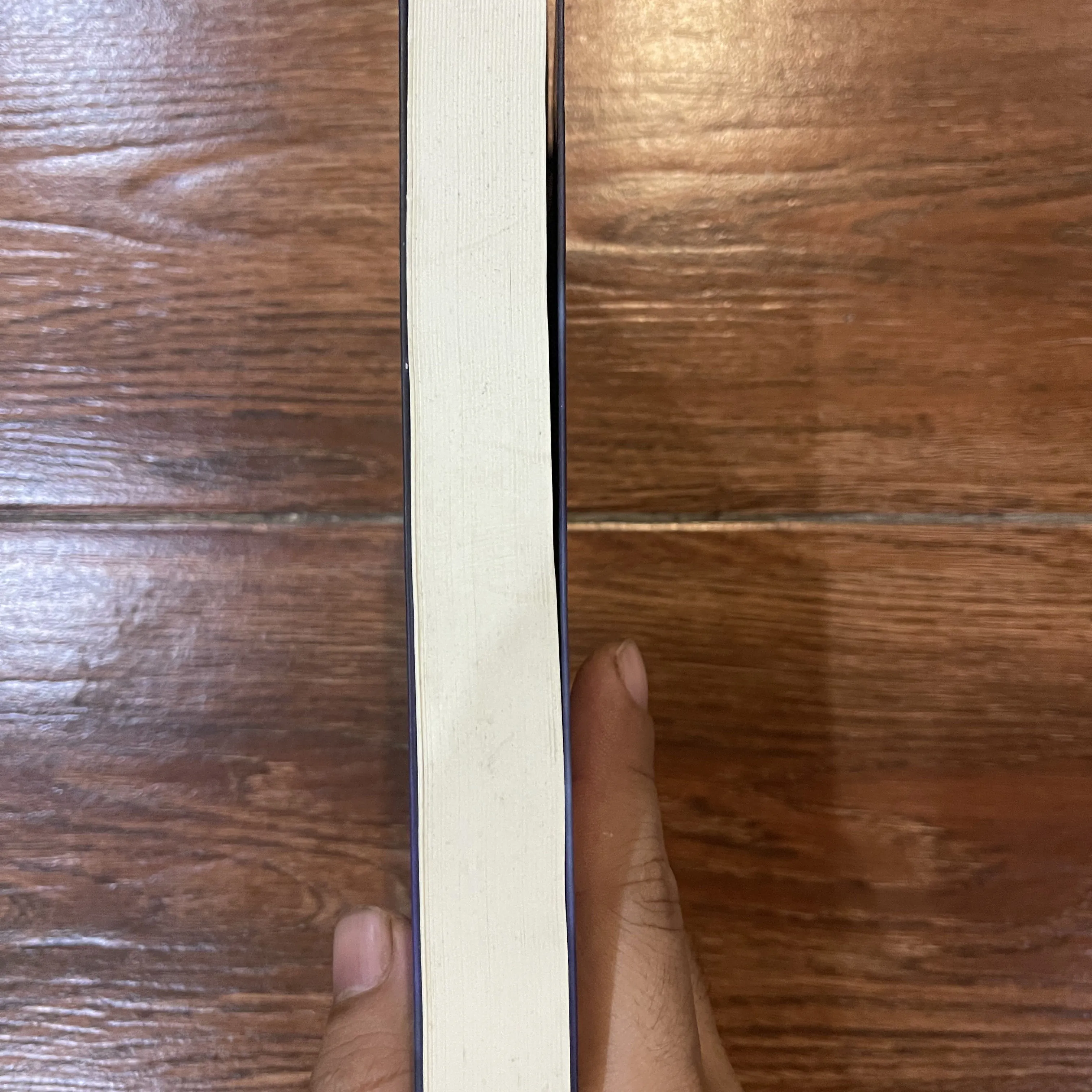 Vũ Trụ Toàn Ảnh - Michael Talbot (15) 568278