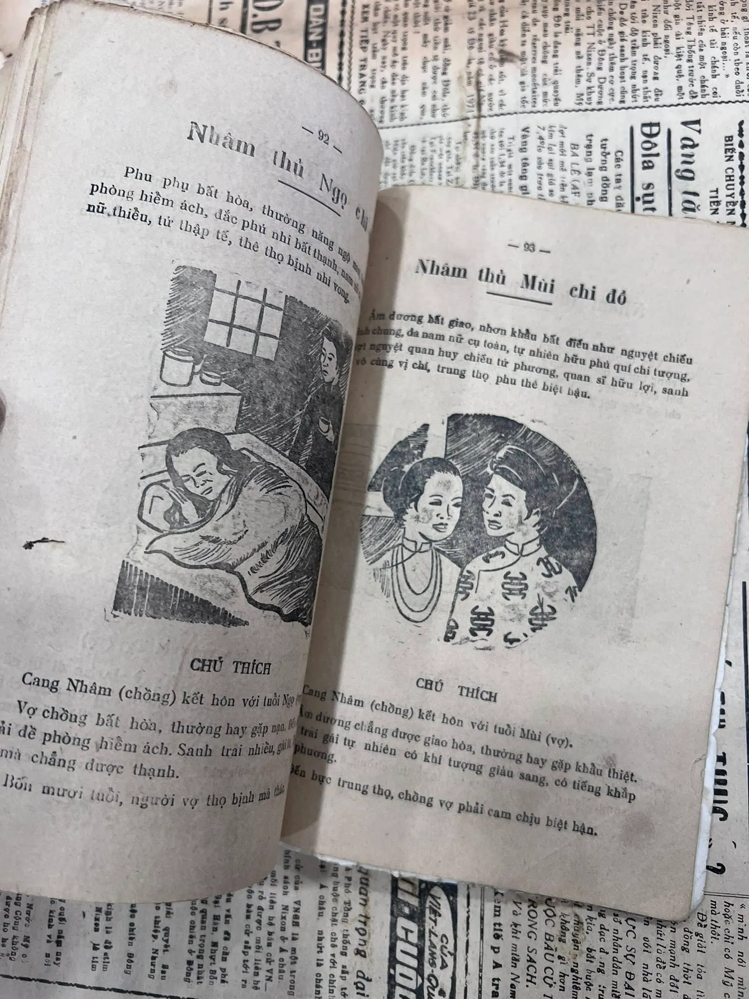 CAO LY ĐẦU HÌNH 1001205