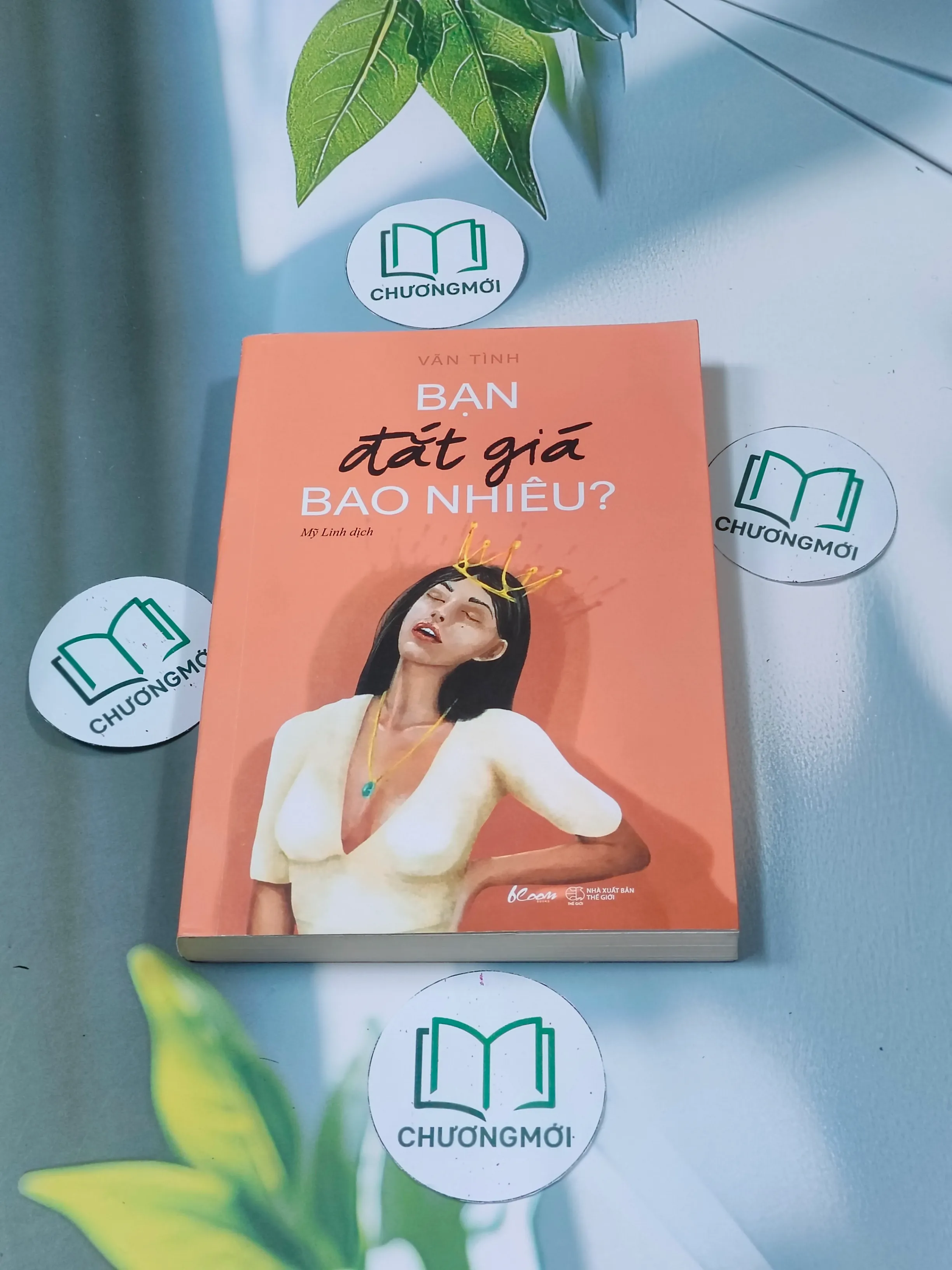 Bạn đắt giá bao nhiêu - Vãn Tình