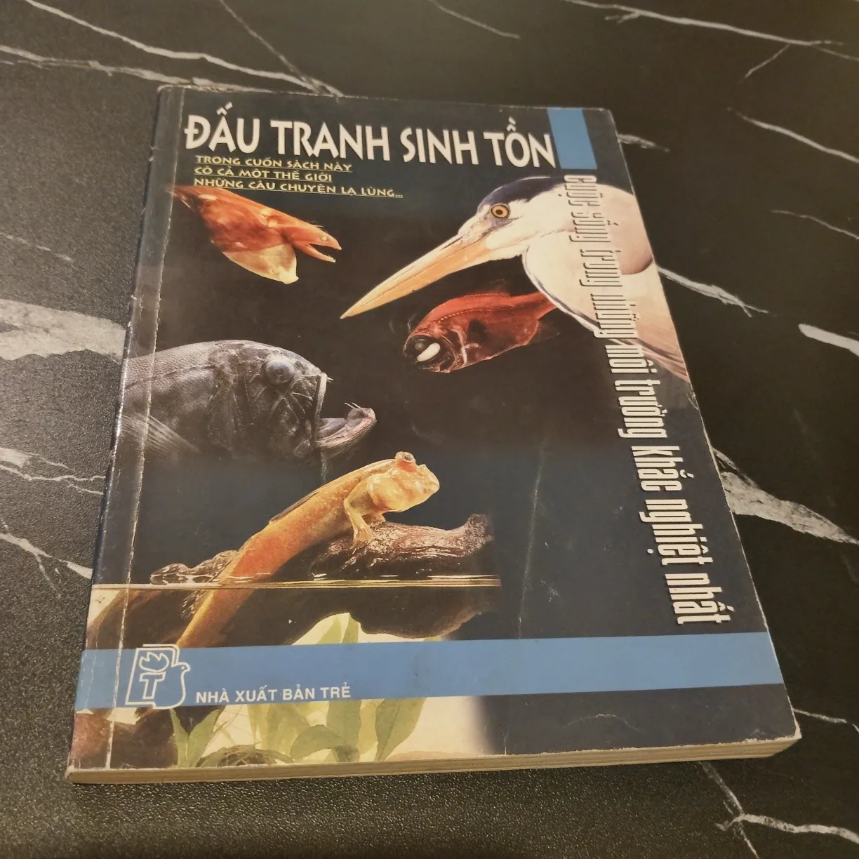 Đấu tranh sinh tồn - Cuộc sống trong những môi trường khắc nghiệt nhất