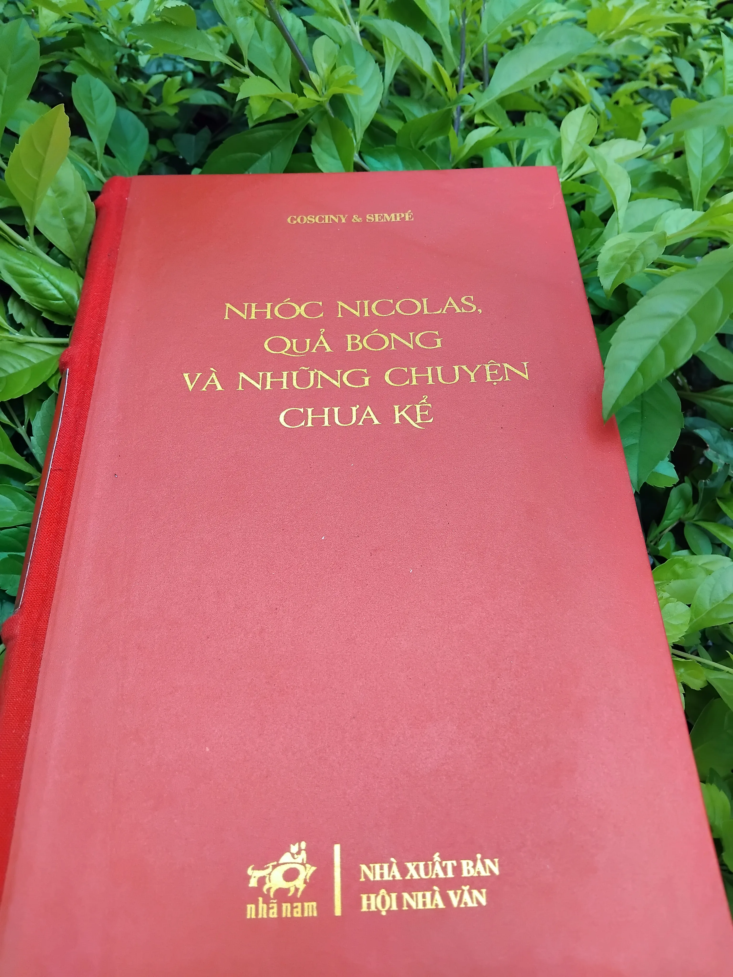 Nhóc Nicolas, quả bóng và những chuyện chưa kể