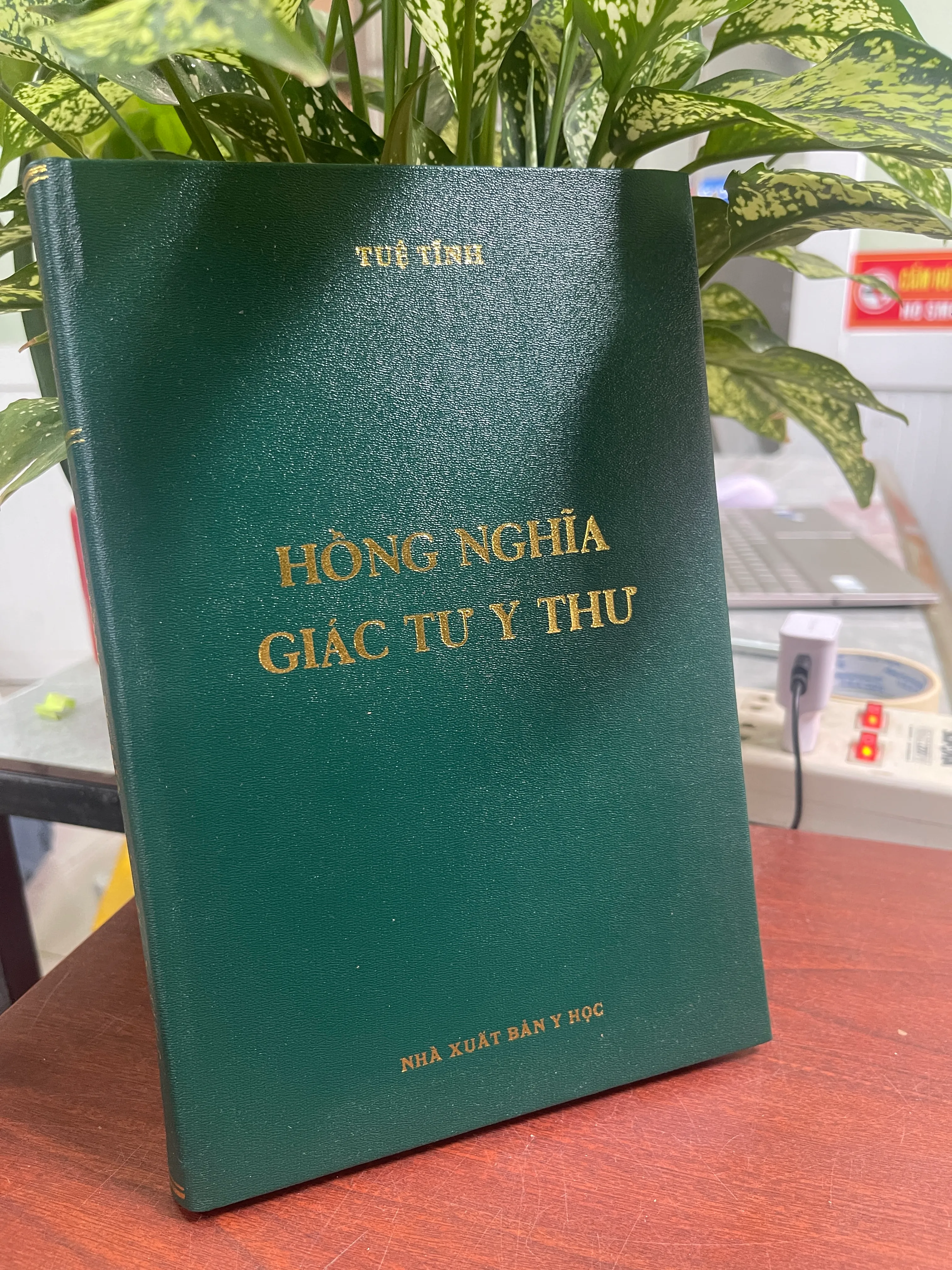 Hồng nghĩa giác tư y thư 605891